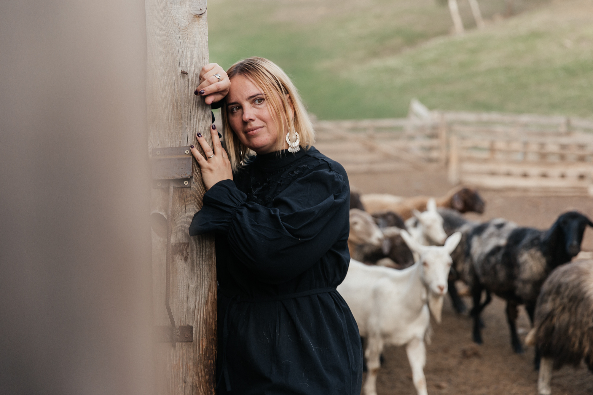 Sheep land. Фотограф Анастасия Шемет