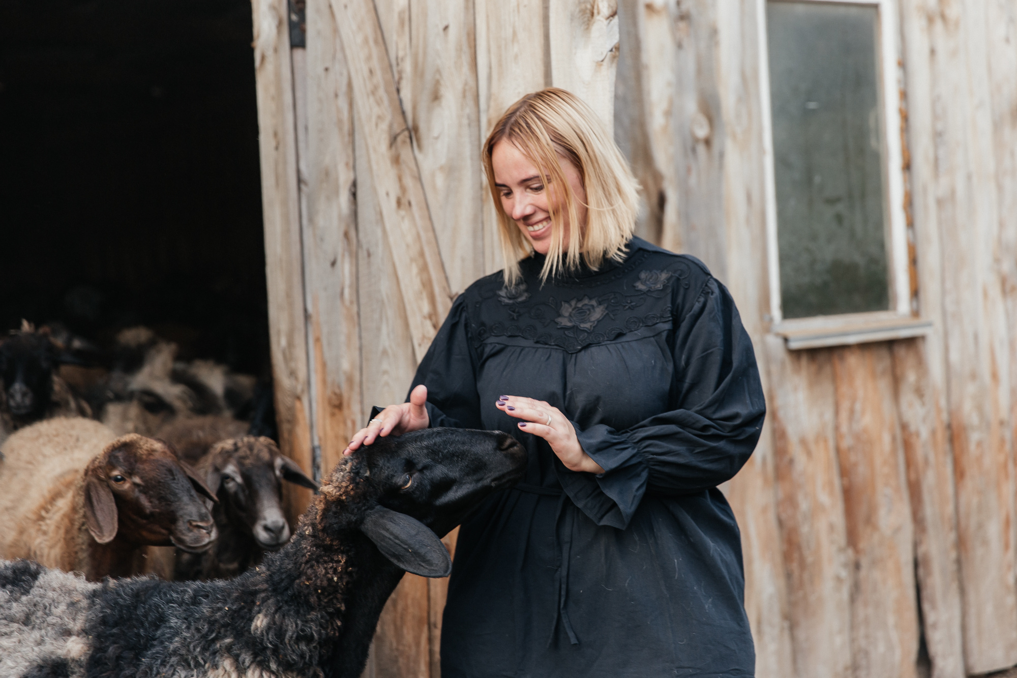 Sheep land. Фотограф Анастасия Шемет