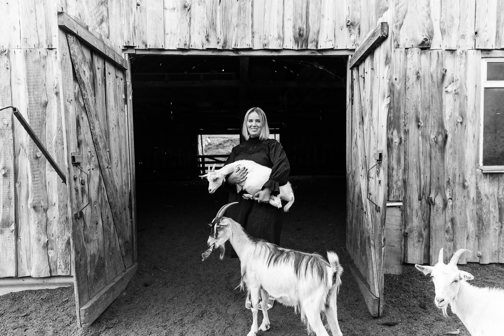 Sheep land. Фотограф Анастасия Шемет