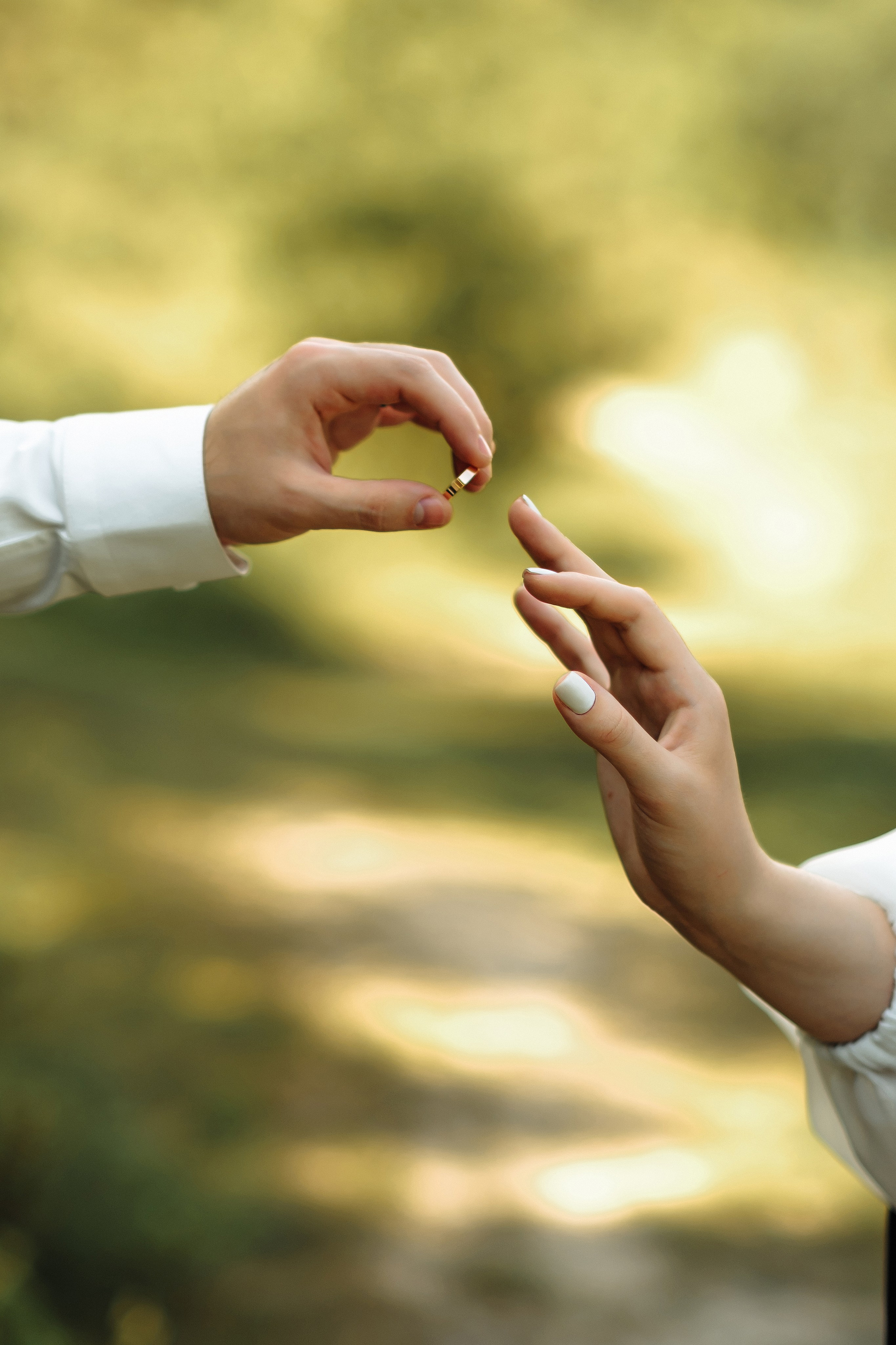 Владислав та Ярослава. Марина Тимченко. Фотограф. Житомир