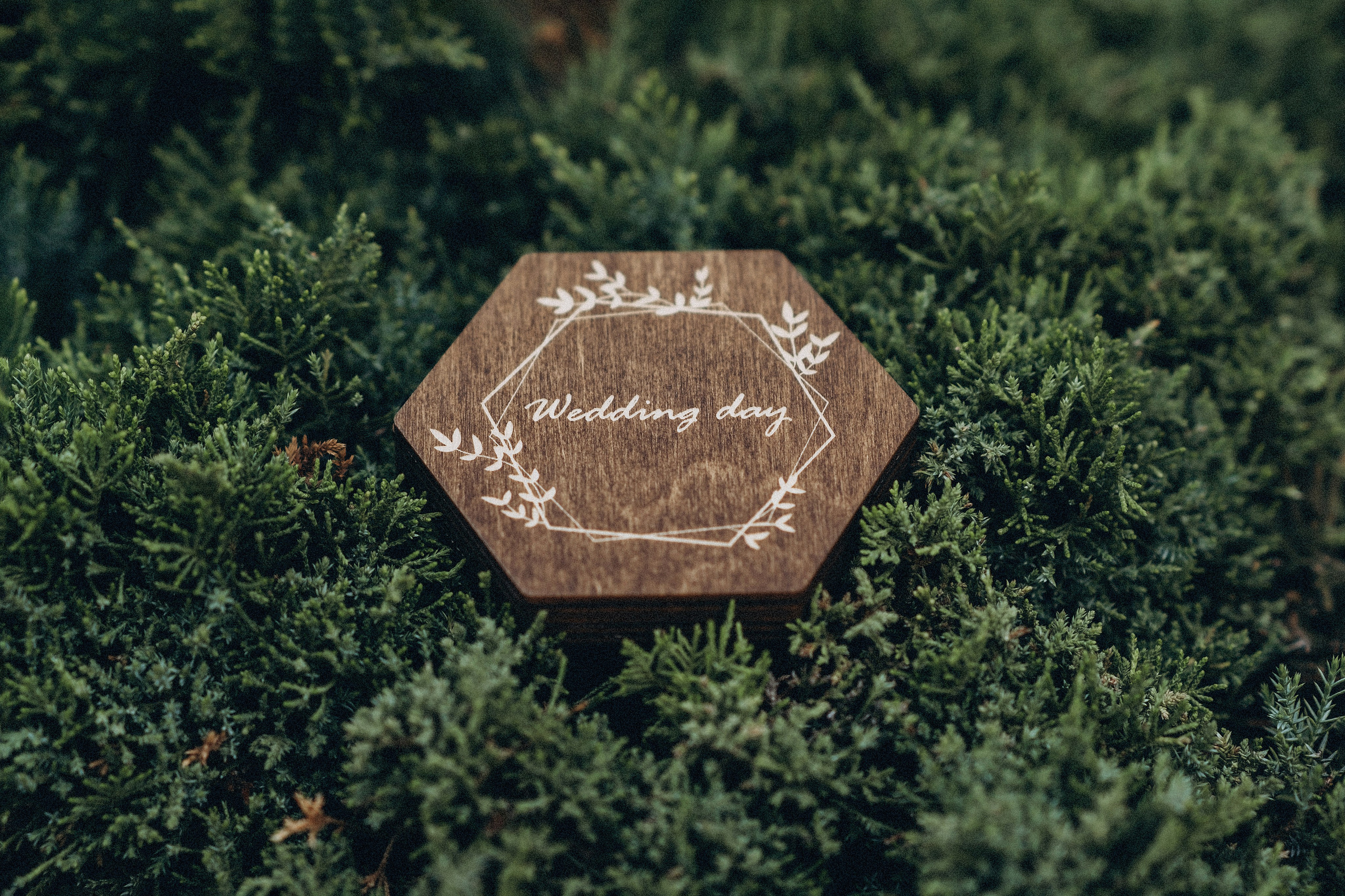 Богдан та Лариса. Марина Тимченко. Фотограф. Житомир