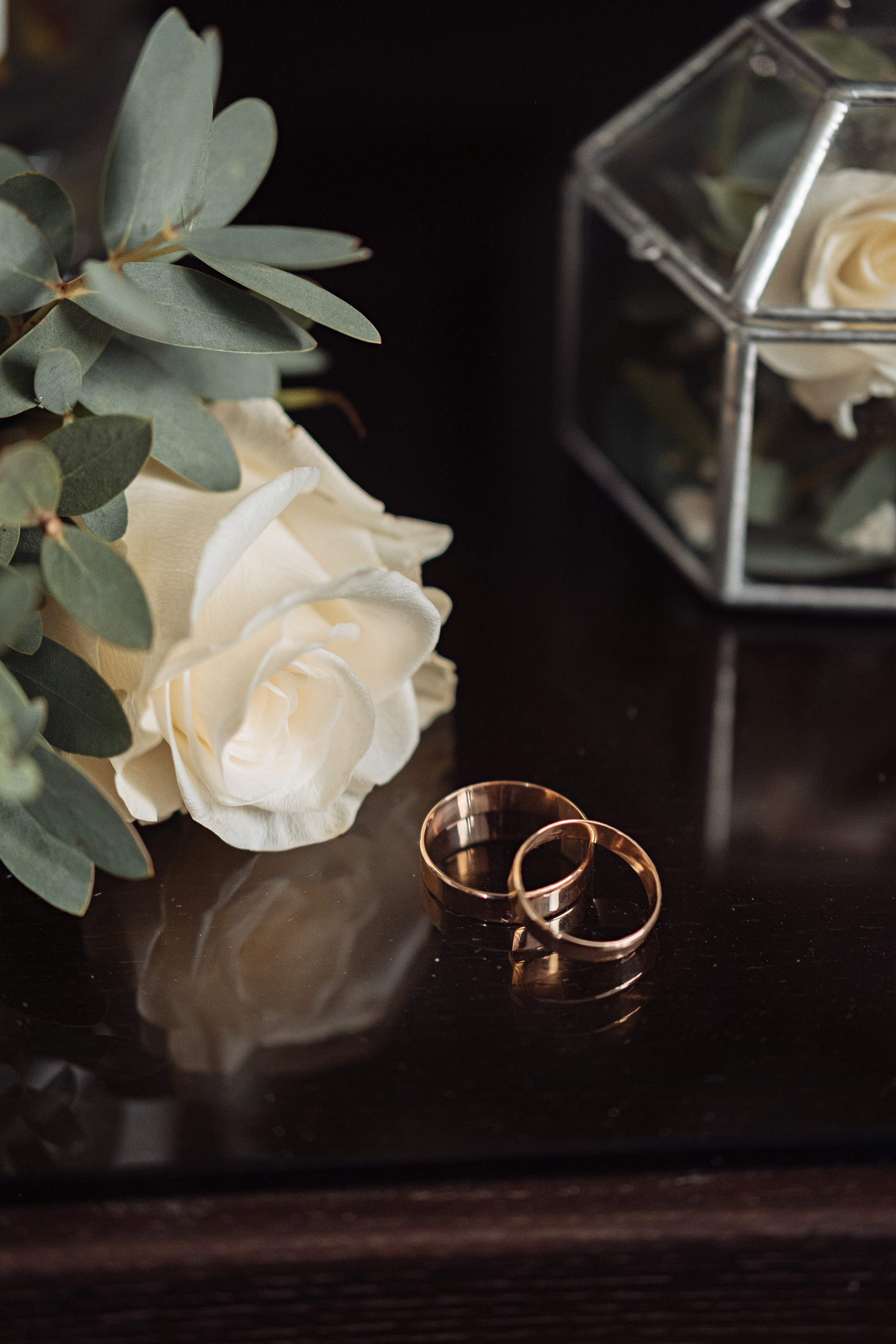 Артем та Ольга. Марина Тимченко. Фотограф. Житомир