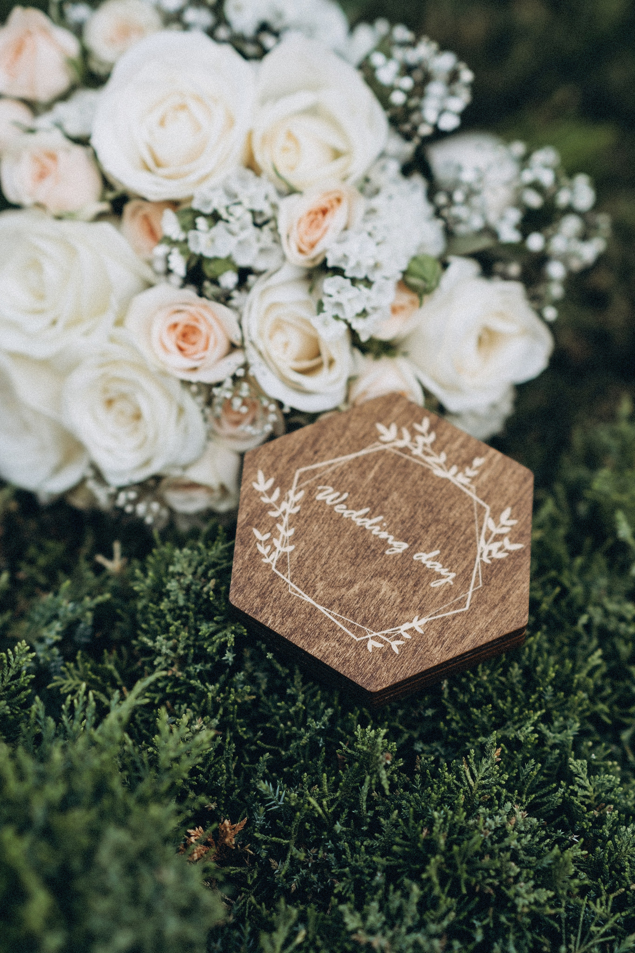 Богдан та Лариса. Марина Тимченко. Фотограф. Житомир