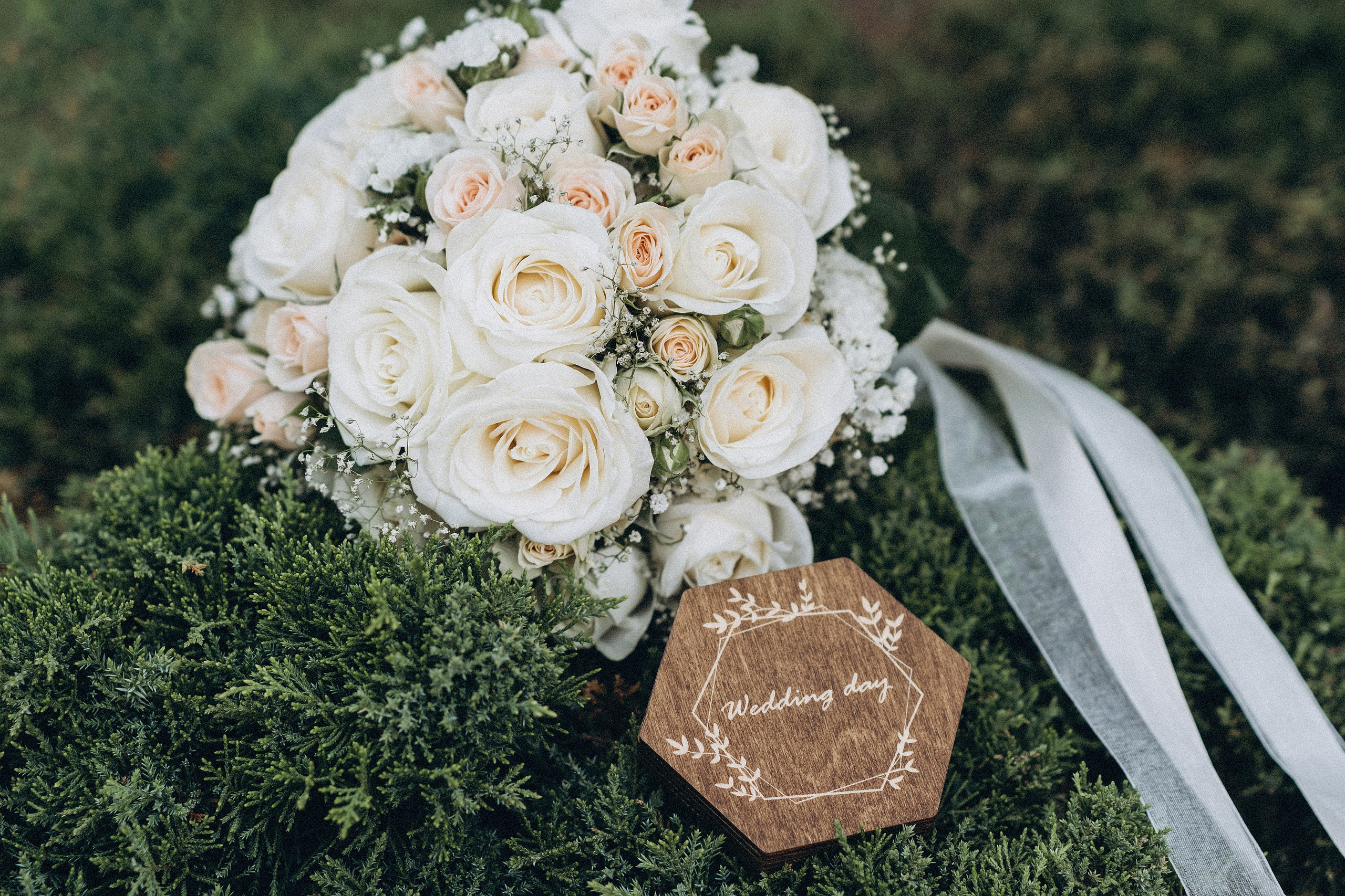 Богдан та Лариса. Марина Тимченко. Фотограф. Житомир