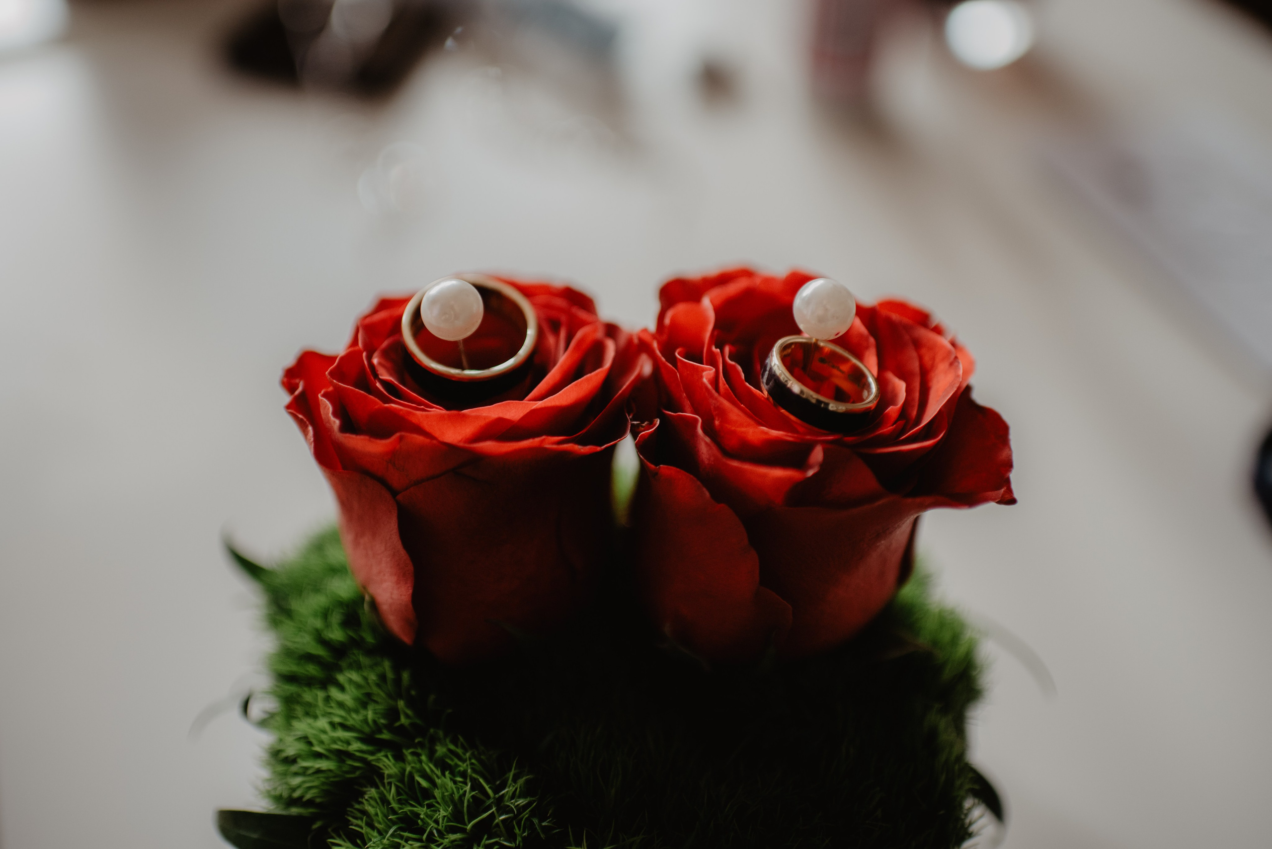 Aleksandra & Patryk. Bałanda Fotografia – Sesje Kobiece, Rodzinne, Miłosne, Reportaże | Katowice Śląsk