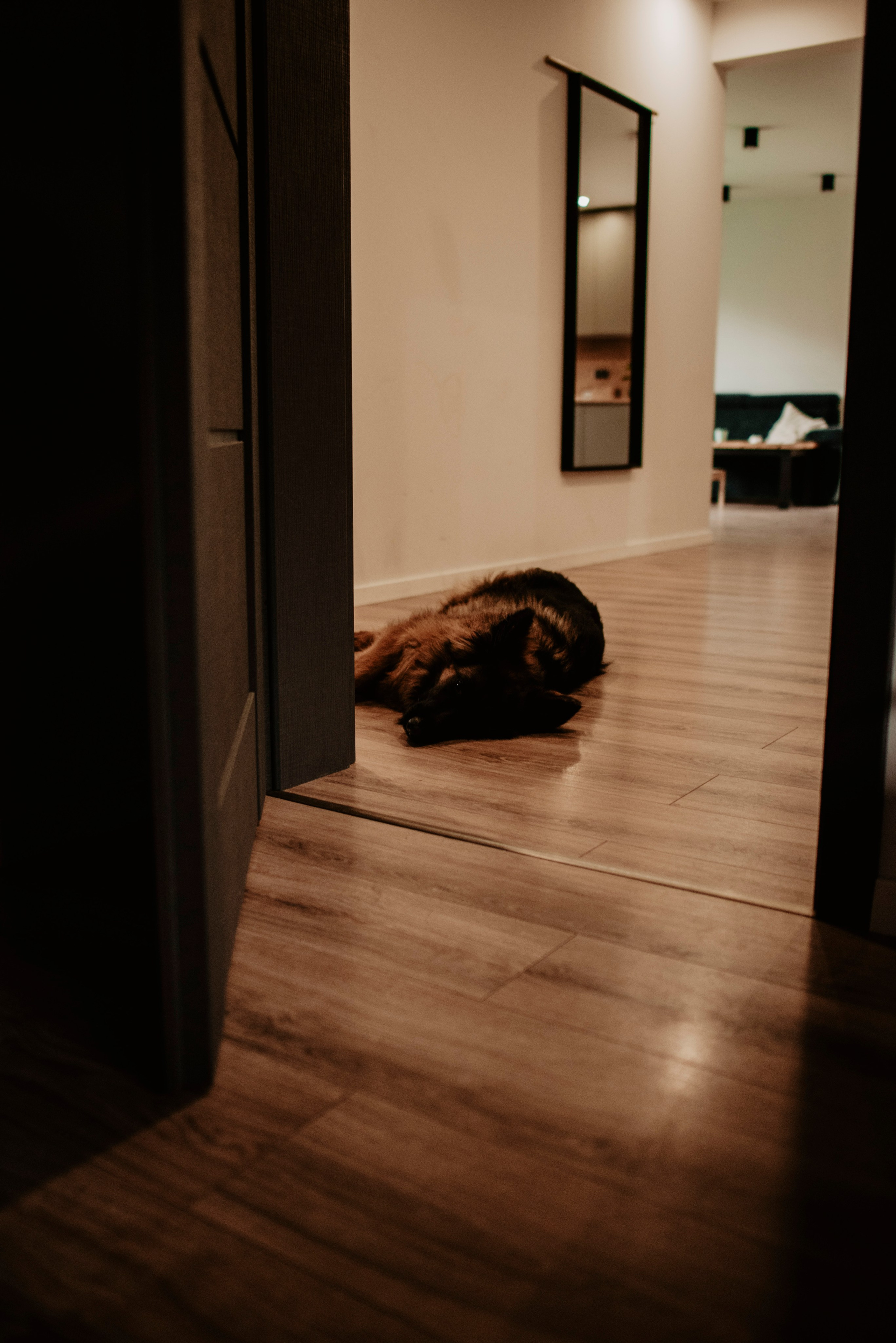 Domowa sesja.Aneta, Andrzej, Inka i Nela. Bałanda Fotografia – Sesje Kobiece, Rodzinne, Miłosne, Reportaże | Katowice Śląsk