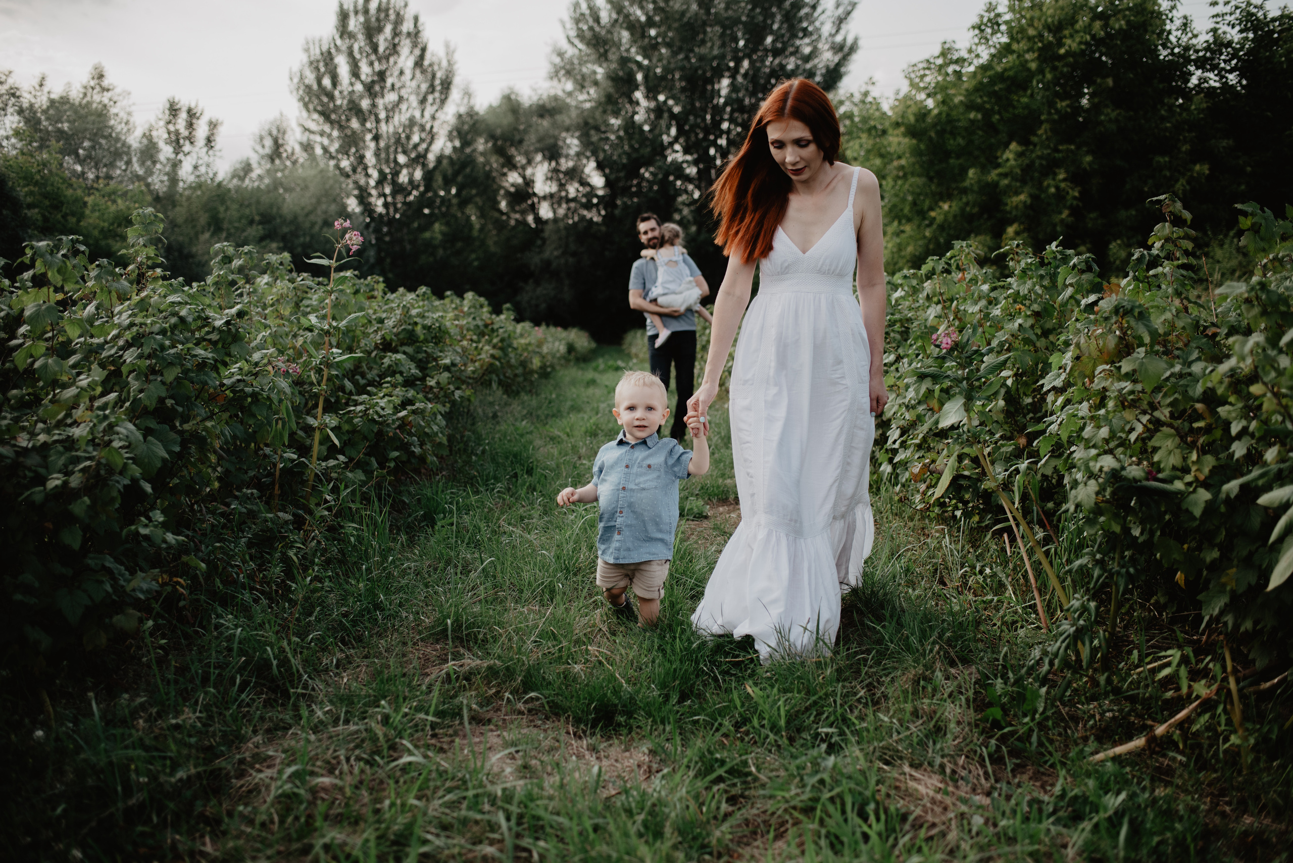 Sesja Rodzinna w polu. Bałanda Fotografia – Sesje Kobiece, Rodzinne, Miłosne, Reportaże | Katowice Śląsk