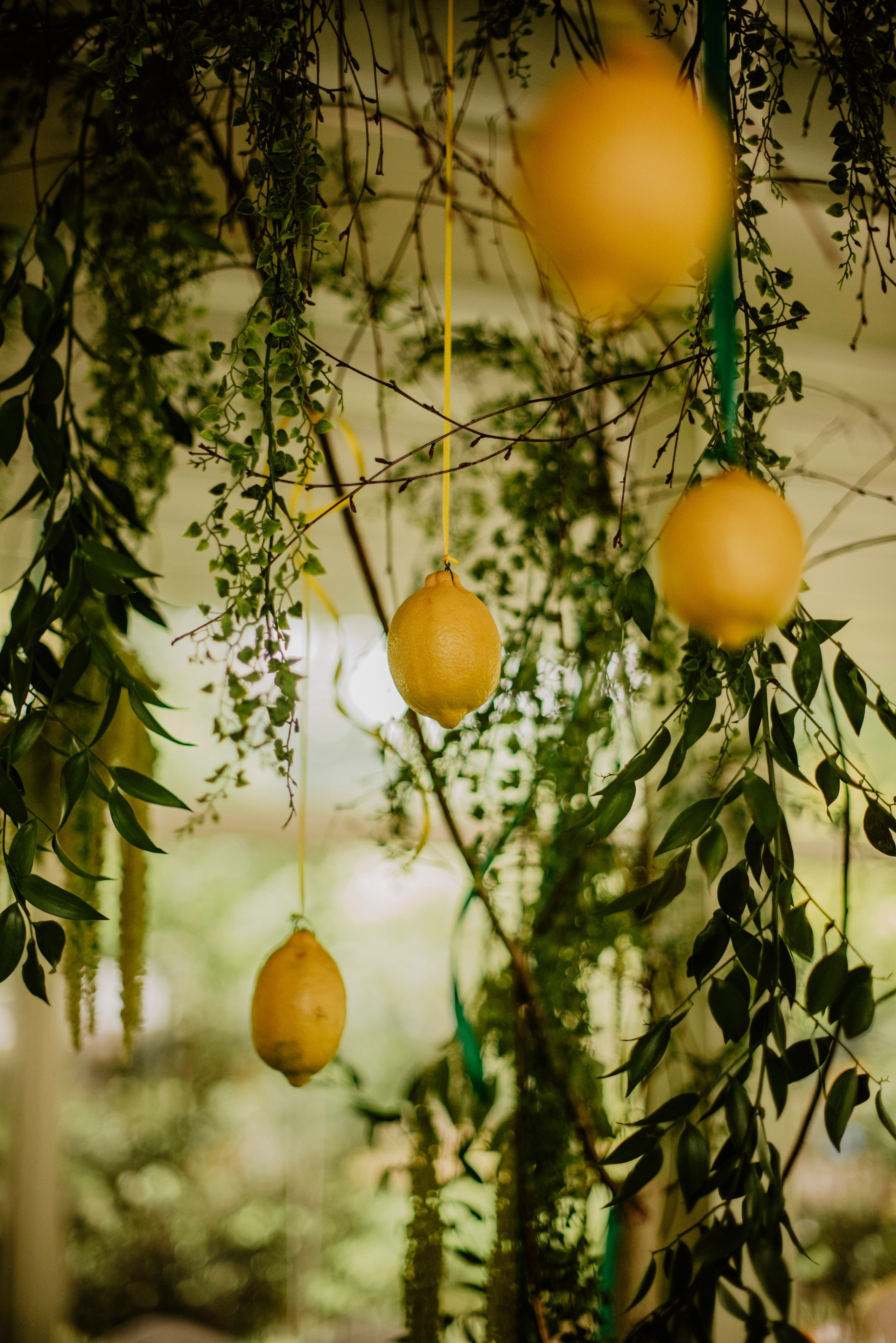 Plenerowy ślub Natalii i Krzysztofa w Restauracji - Patio Park Katowice. Bałanda Fotografia – Sesje Kobiece, Rodzinne, Miłosne, Reportaże | Katowice Śląsk