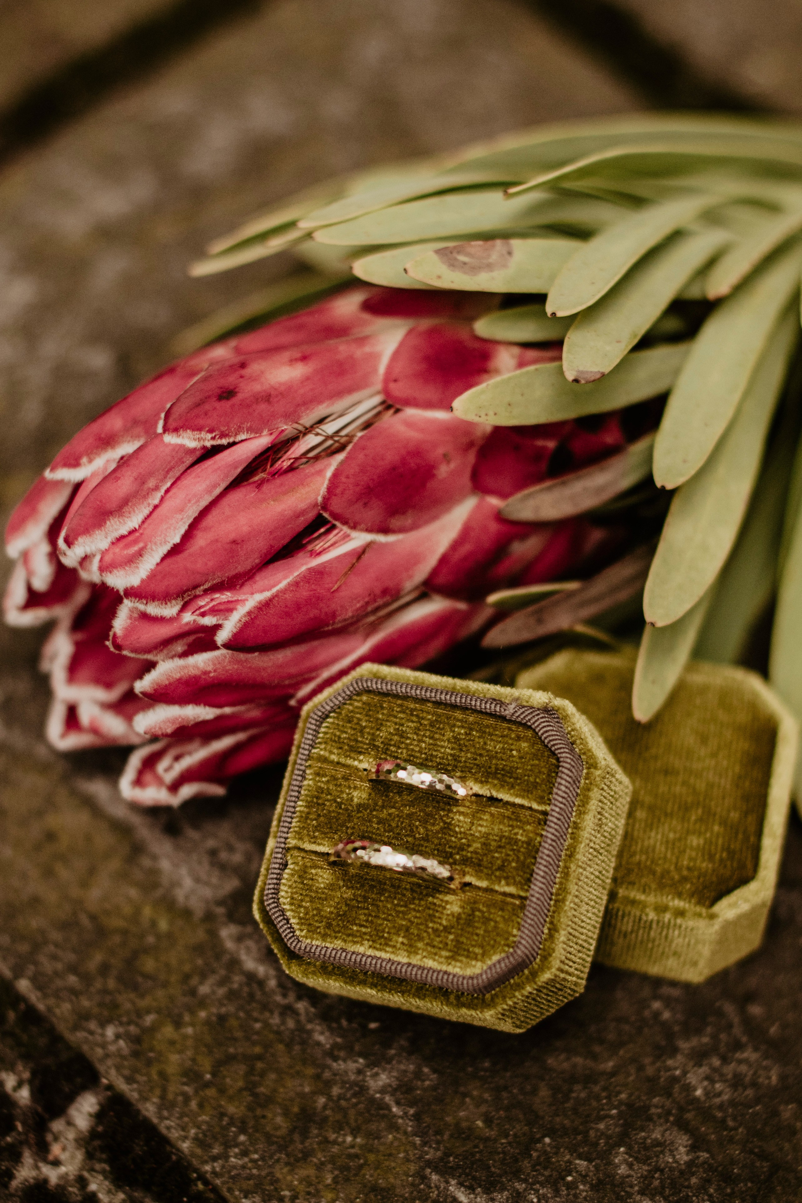 Plenerowy ślub Natalii i Krzysztofa w Restauracji - Patio Park Katowice. Bałanda Fotografia – Sesje Kobiece, Rodzinne, Miłosne, Reportaże | Katowice Śląsk