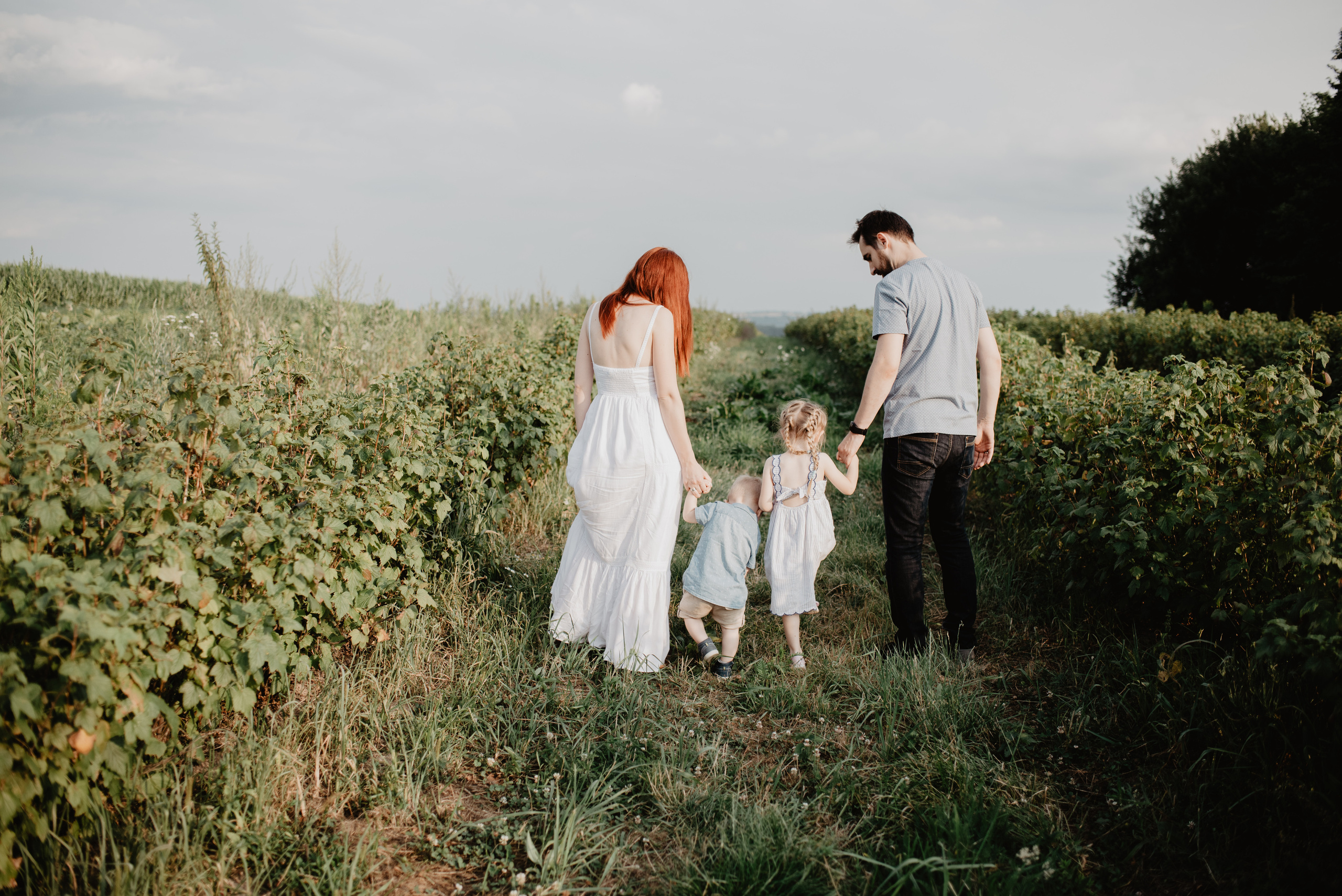 Sesja Rodzinna w polu. Bałanda Fotografia – Sesje Kobiece, Rodzinne, Miłosne, Reportaże | Katowice Śląsk