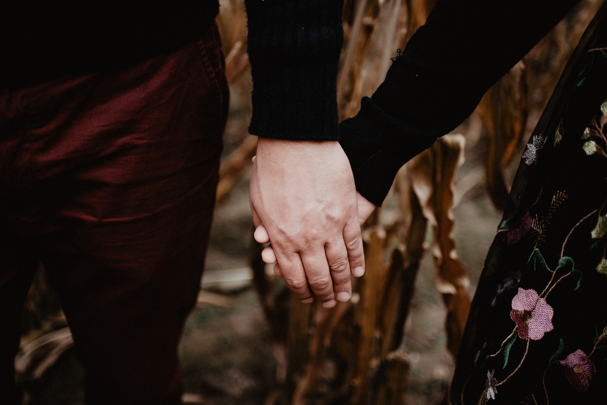 Ewa & Jacek- sesja w polu kukurydzy. Bałanda Fotografia – Sesje Kobiece, Rodzinne, Miłosne, Reportaże | Katowice Śląsk