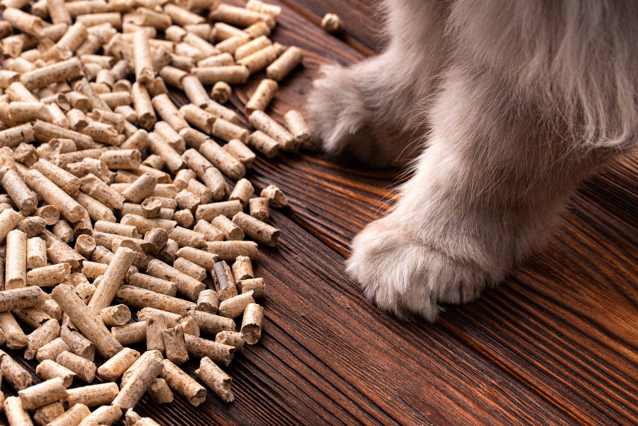 Іміджеві та рекламні фото. Предметний фотограф Чернівці для інтернет магазину, сайту, каталогу, контент для бізнесу