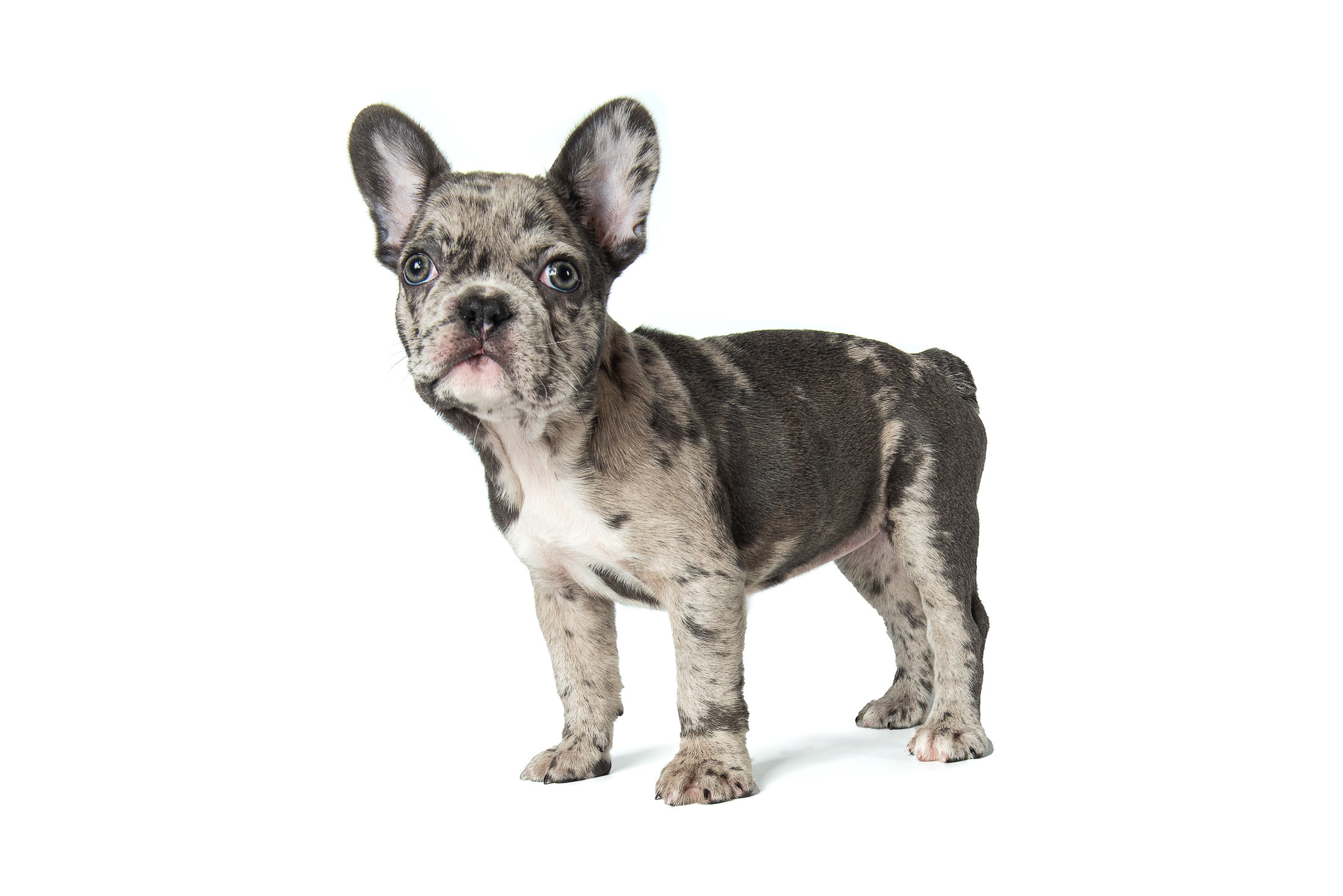 Предметна та каталожна фотографія. Предметний фотограф Чернівці для інтернет магазину, сайту, каталогу, контент для бізнесу