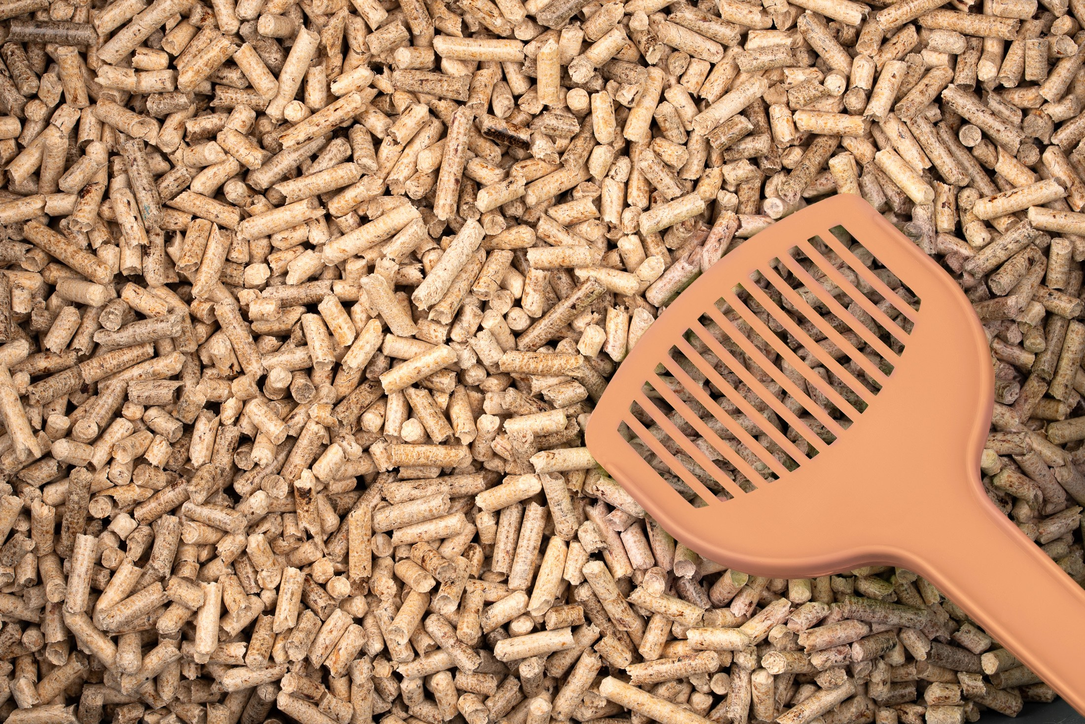 Іміджеві та рекламні фото. Предметний фотограф Чернівці для інтернет магазину, сайту, каталогу, контент для бізнесу