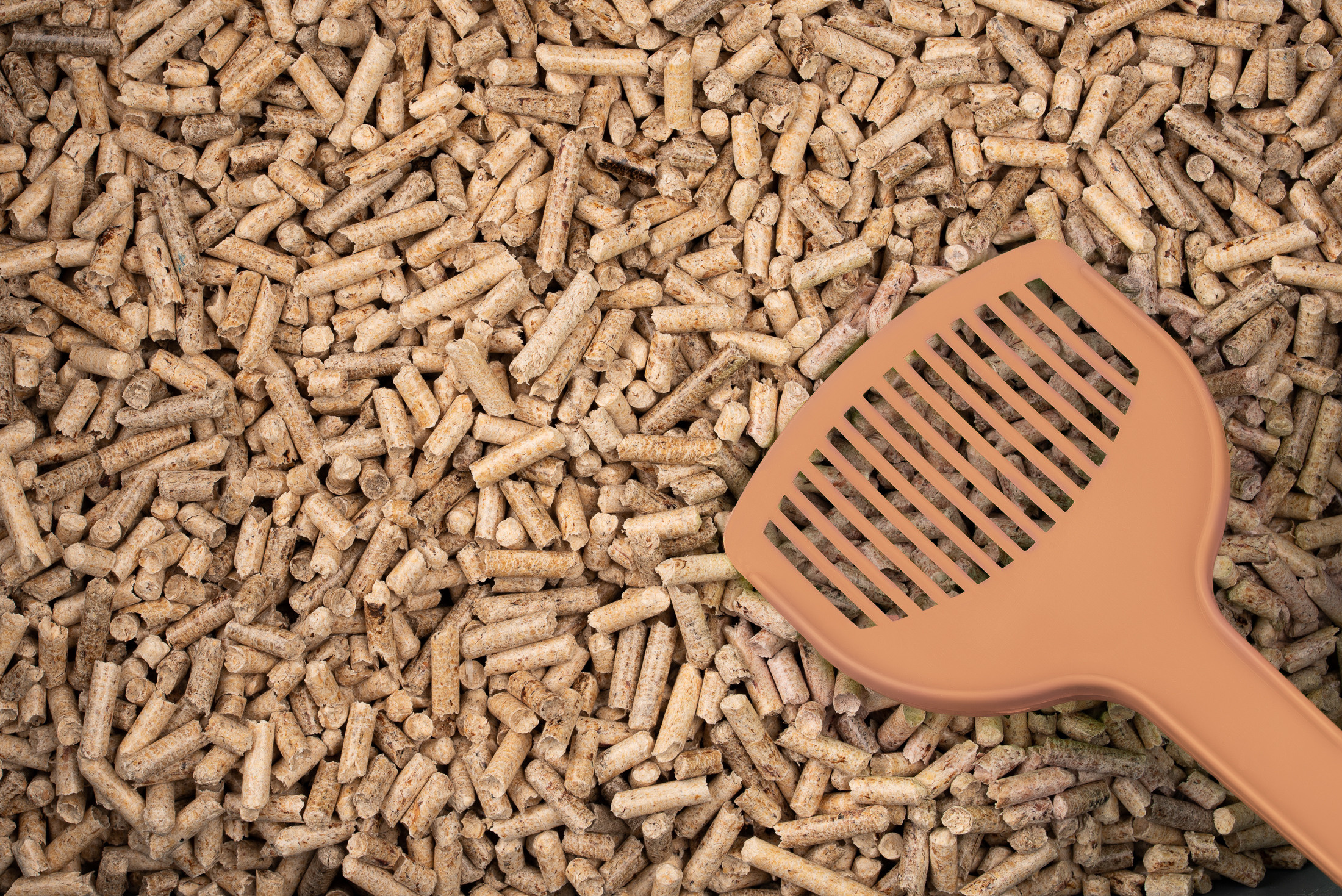 Предметна та каталожна фотографія. Предметний фотограф Чернівці для інтернет магазину, сайту, каталогу, контент для бізнесу