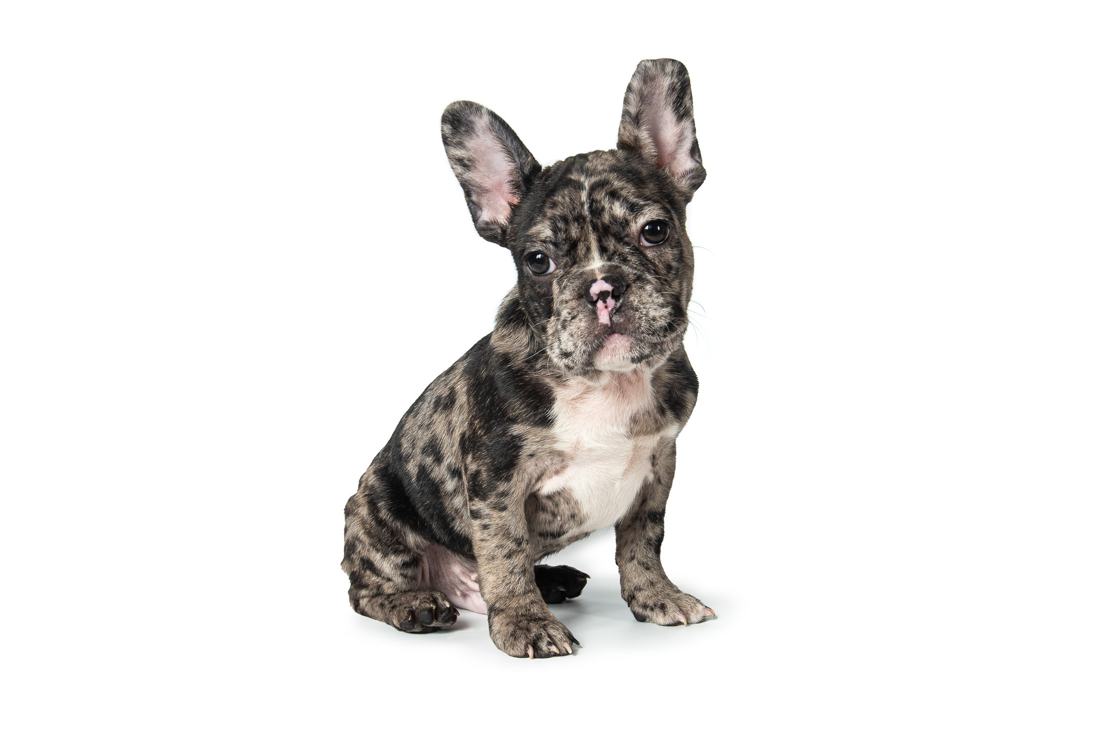 Предметна та каталожна фотографія. Предметний фотограф Чернівці для інтернет магазину, сайту, каталогу, контент для бізнесу