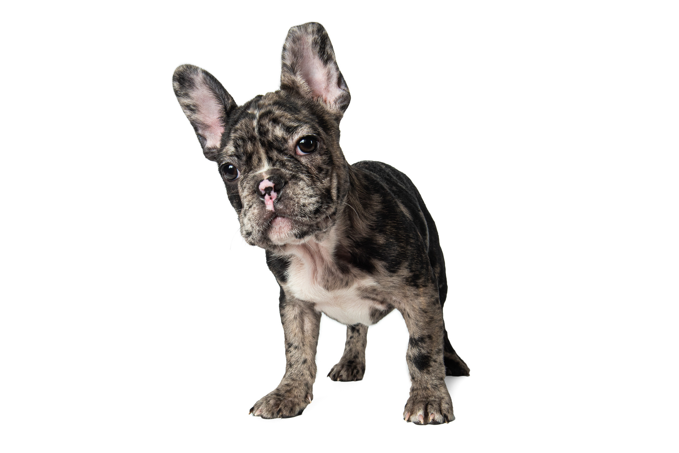 Предметна та каталожна фотографія. Предметний фотограф Чернівці для інтернет магазину, сайту, каталогу, контент для бізнесу