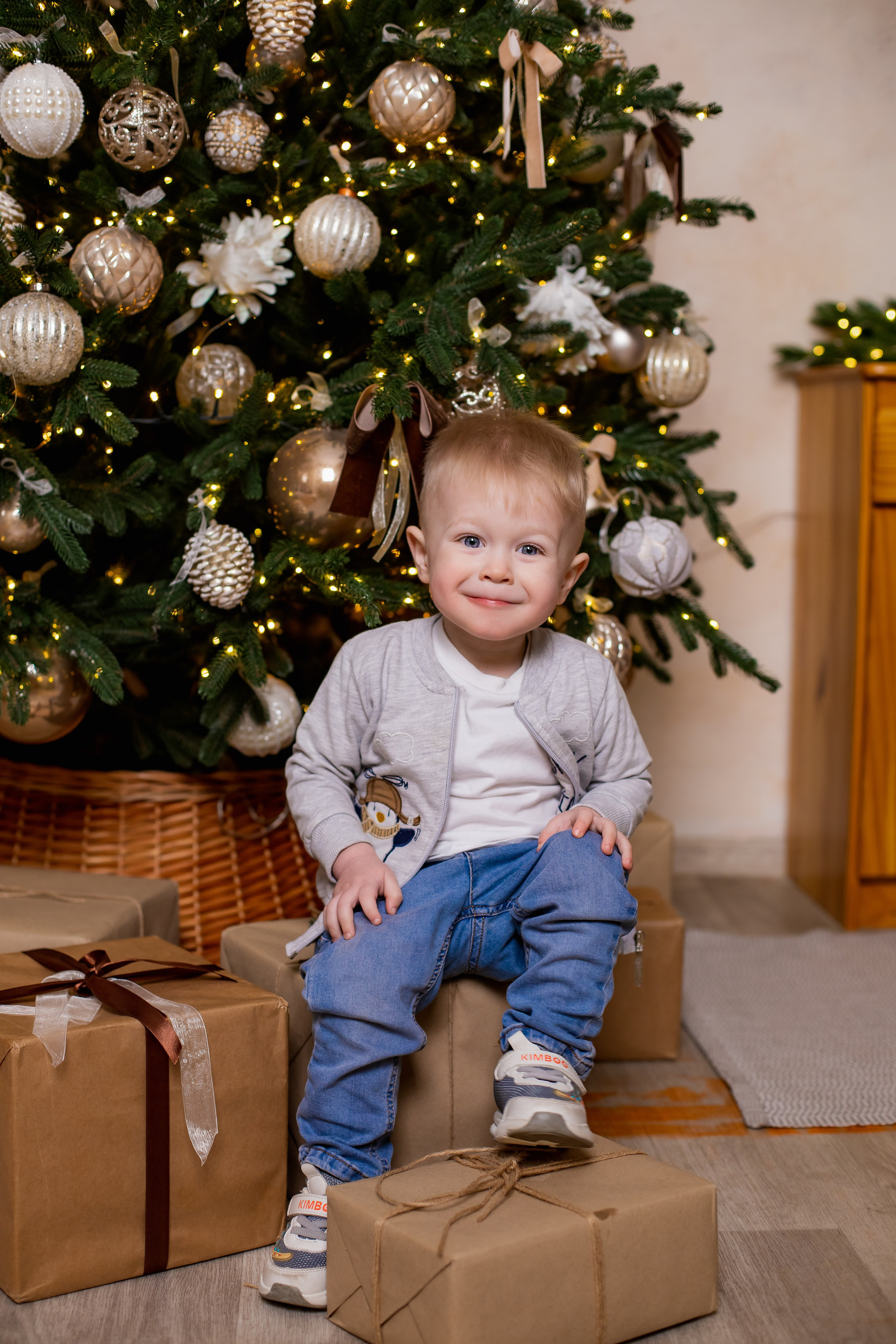 Новорічні студійні. Фотограф Катерина Ковальчук