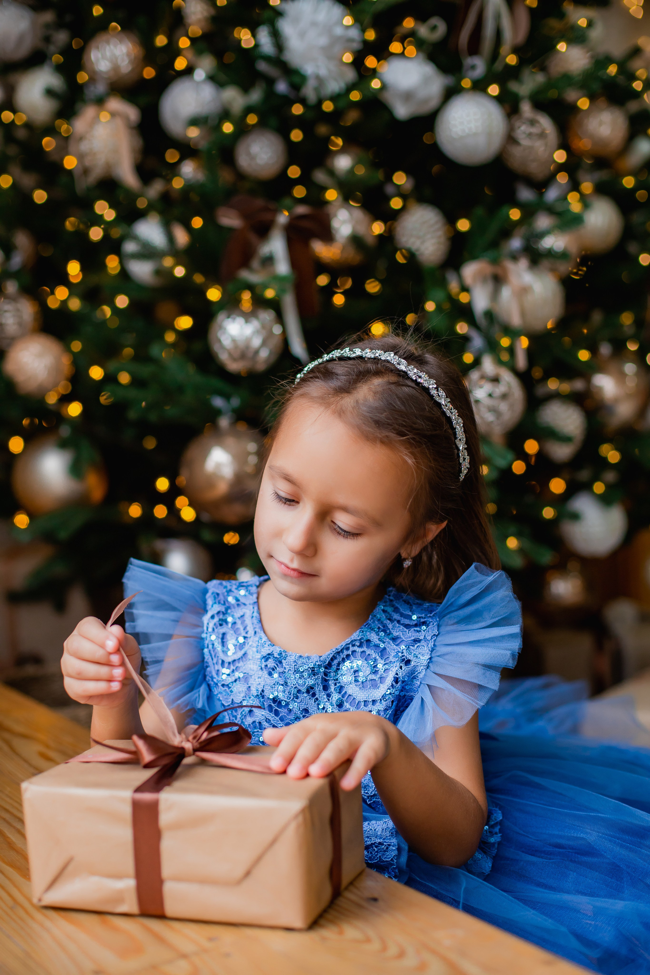 Новорічні студійні. Фотограф Катерина Ковальчук