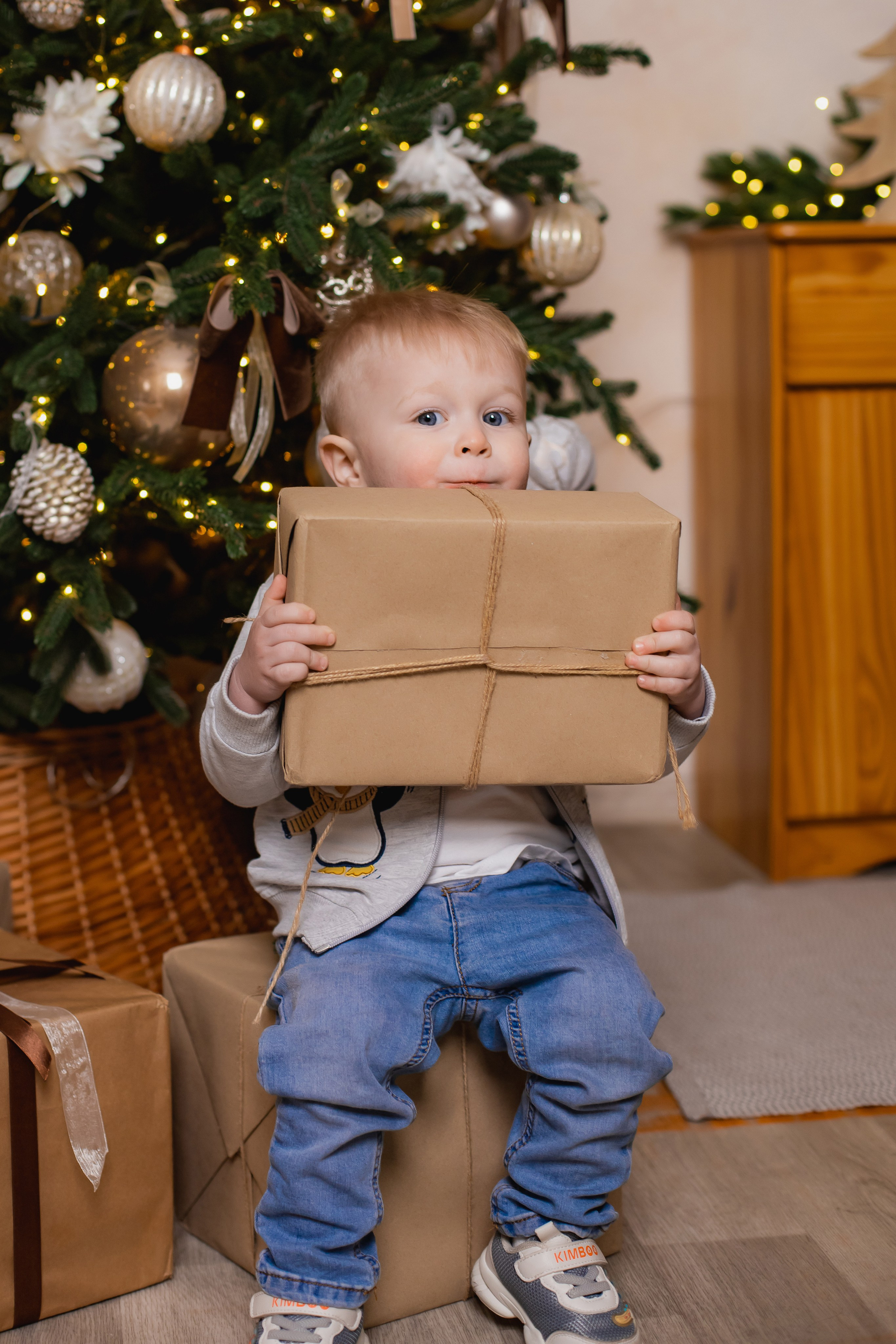 Новорічні студійні. Фотограф Катерина Ковальчук