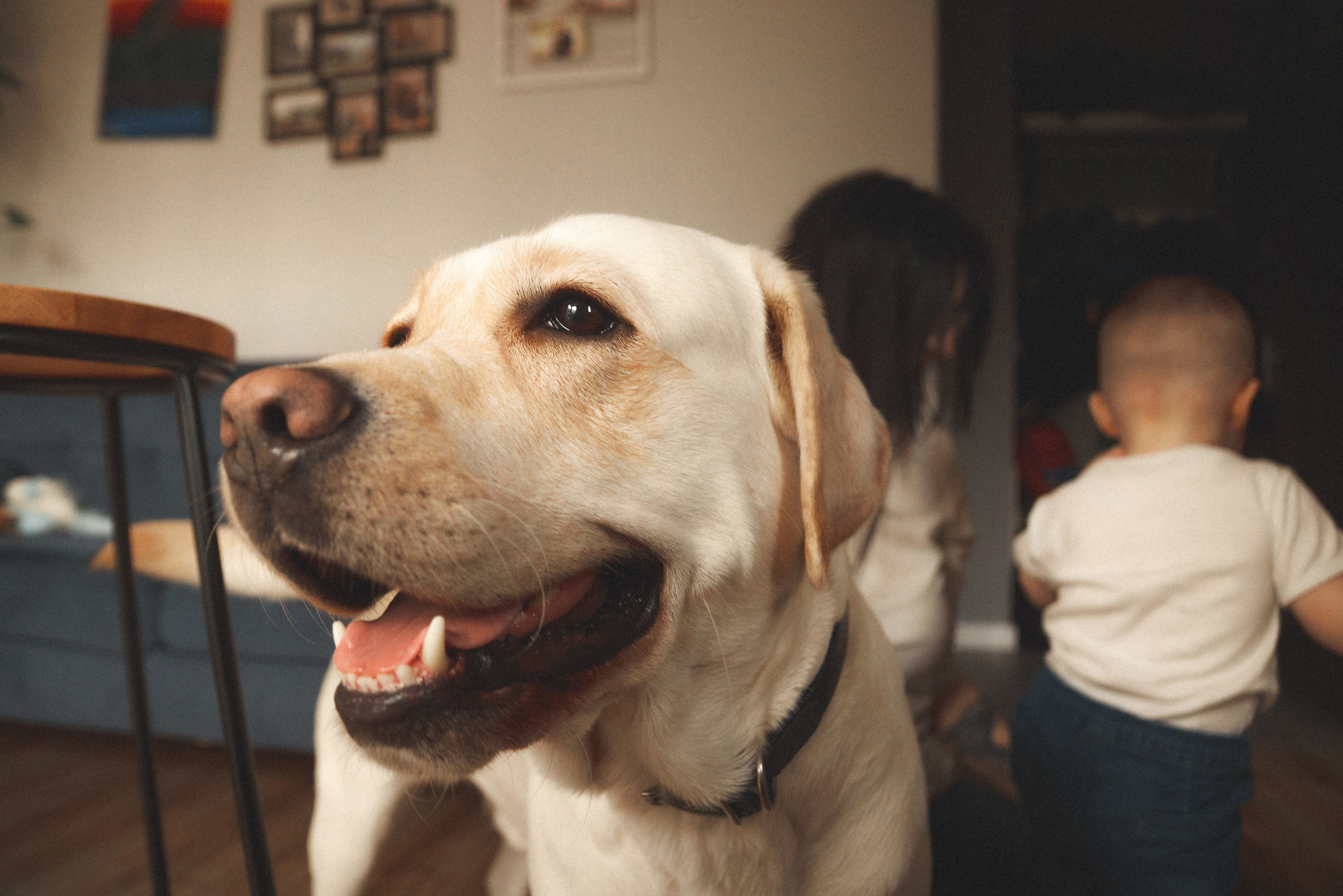 L&ANGEL. ART SYLCHENKO Fotograf Trójmiasto