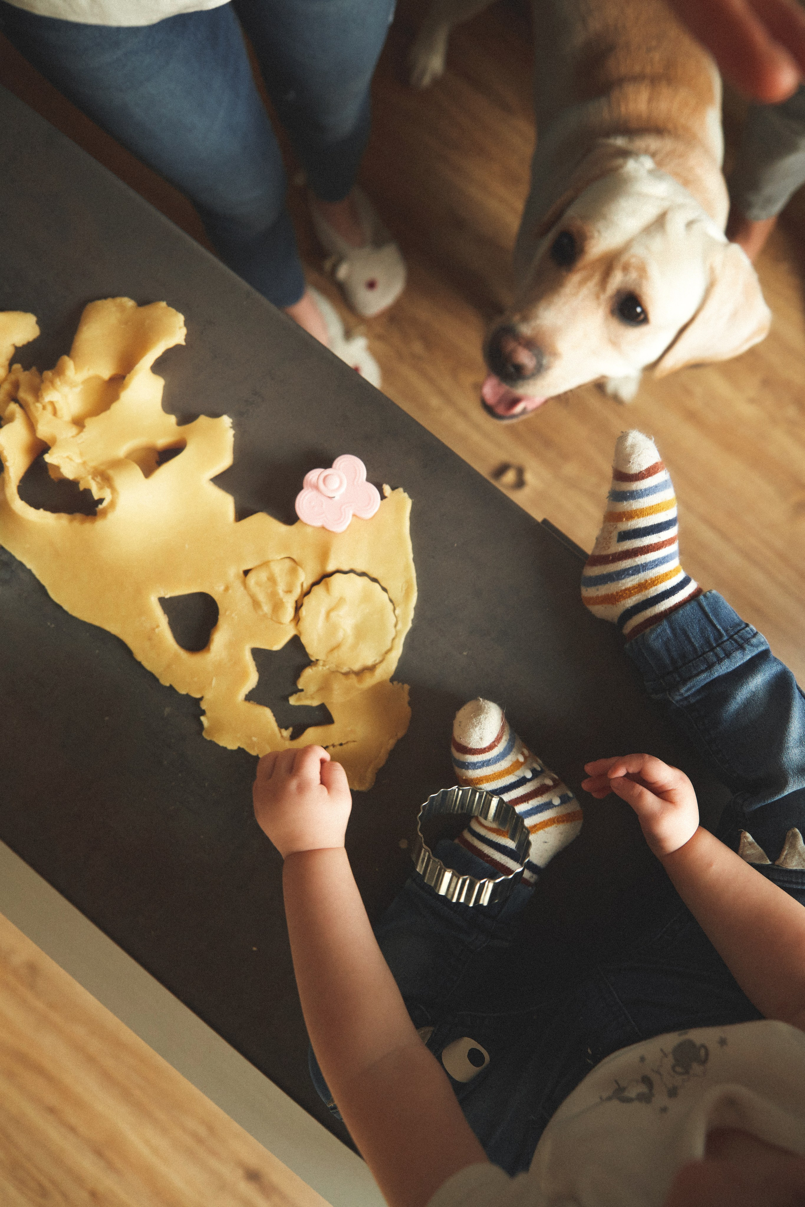 L&ANGEL. ART SYLCHENKO Fotograf Trójmiasto