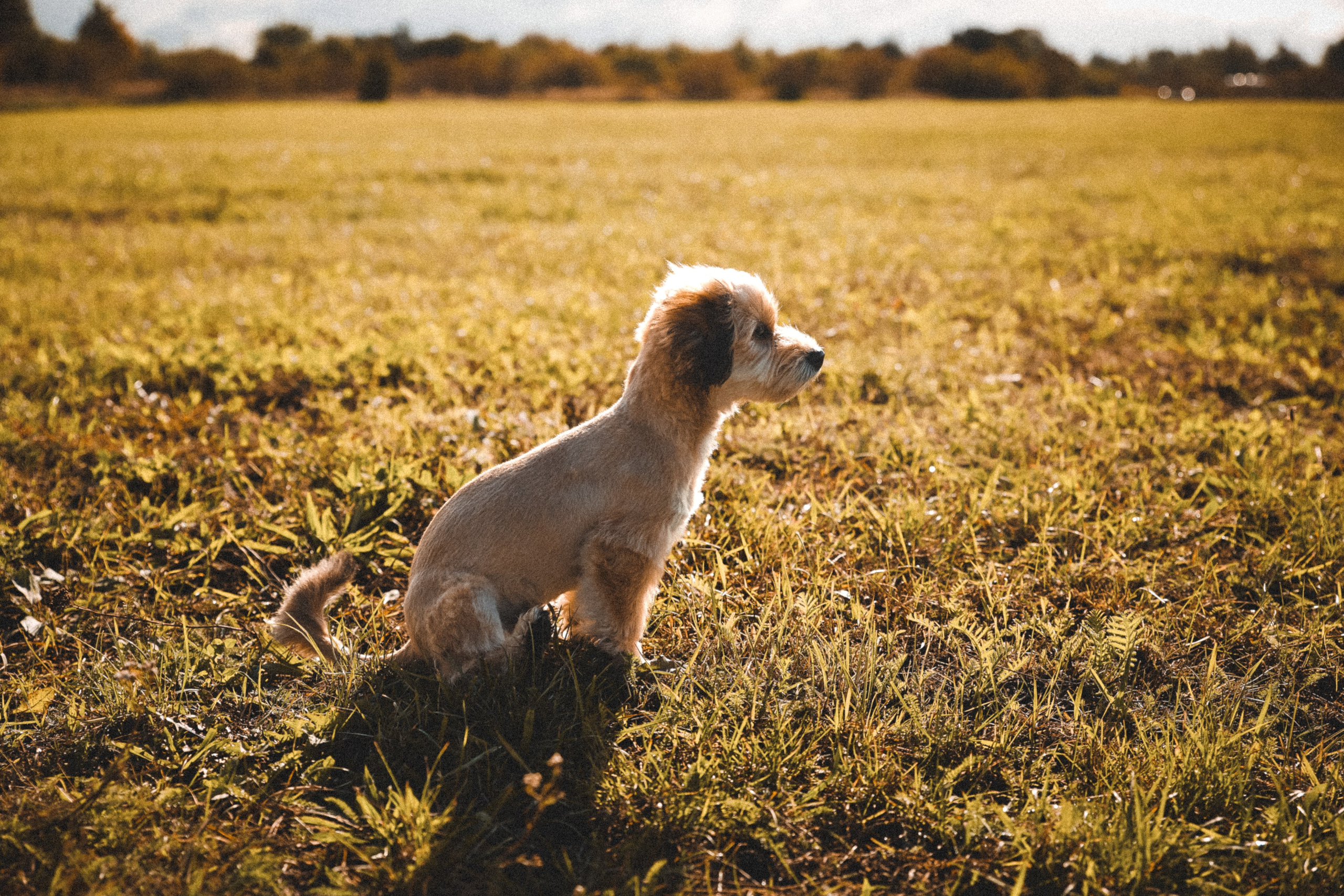 I&M. ART SYLCHENKO Fotograf Trójmiasto