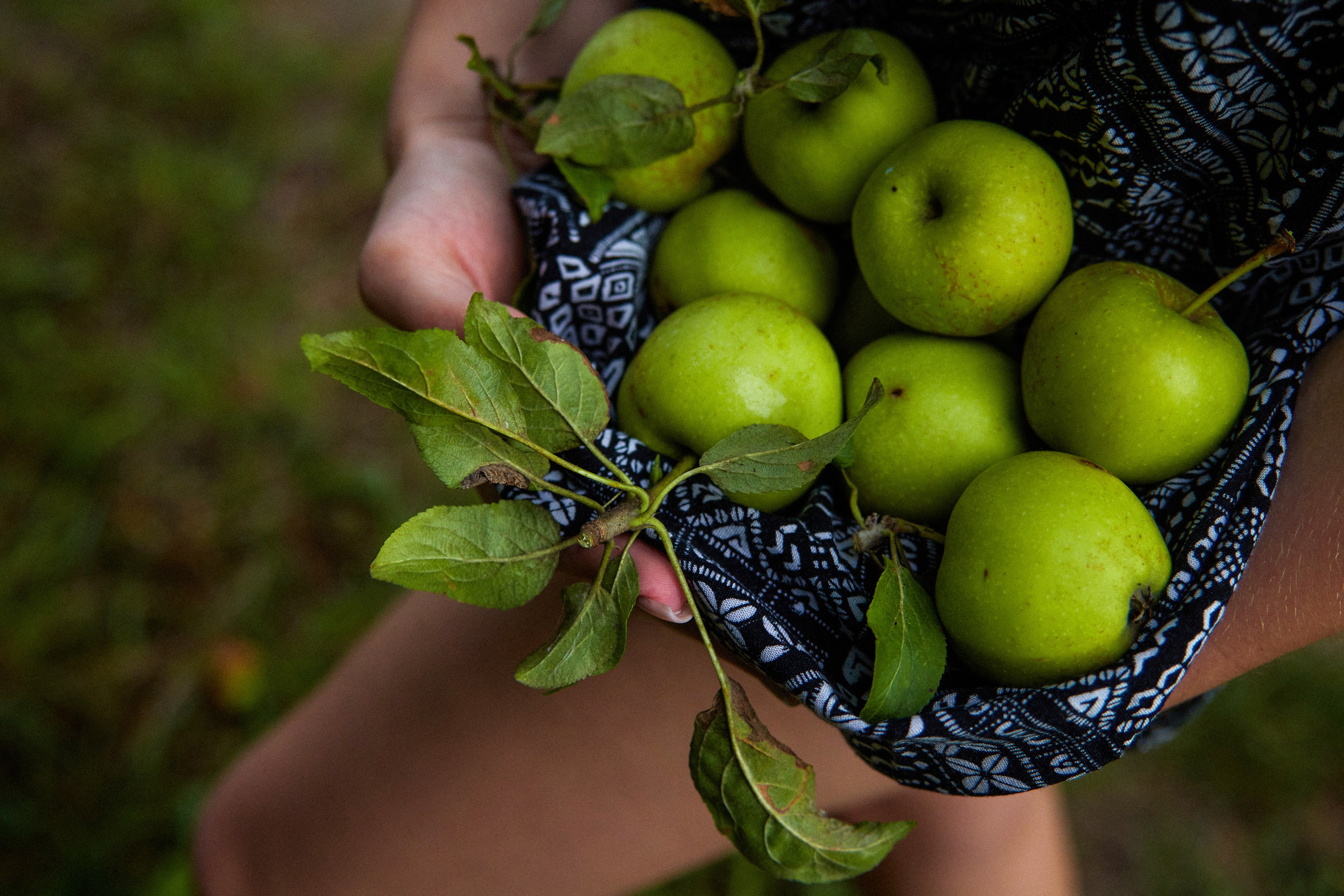 EVELINA. ART SYLCHENKO Fotograf Trójmiasto