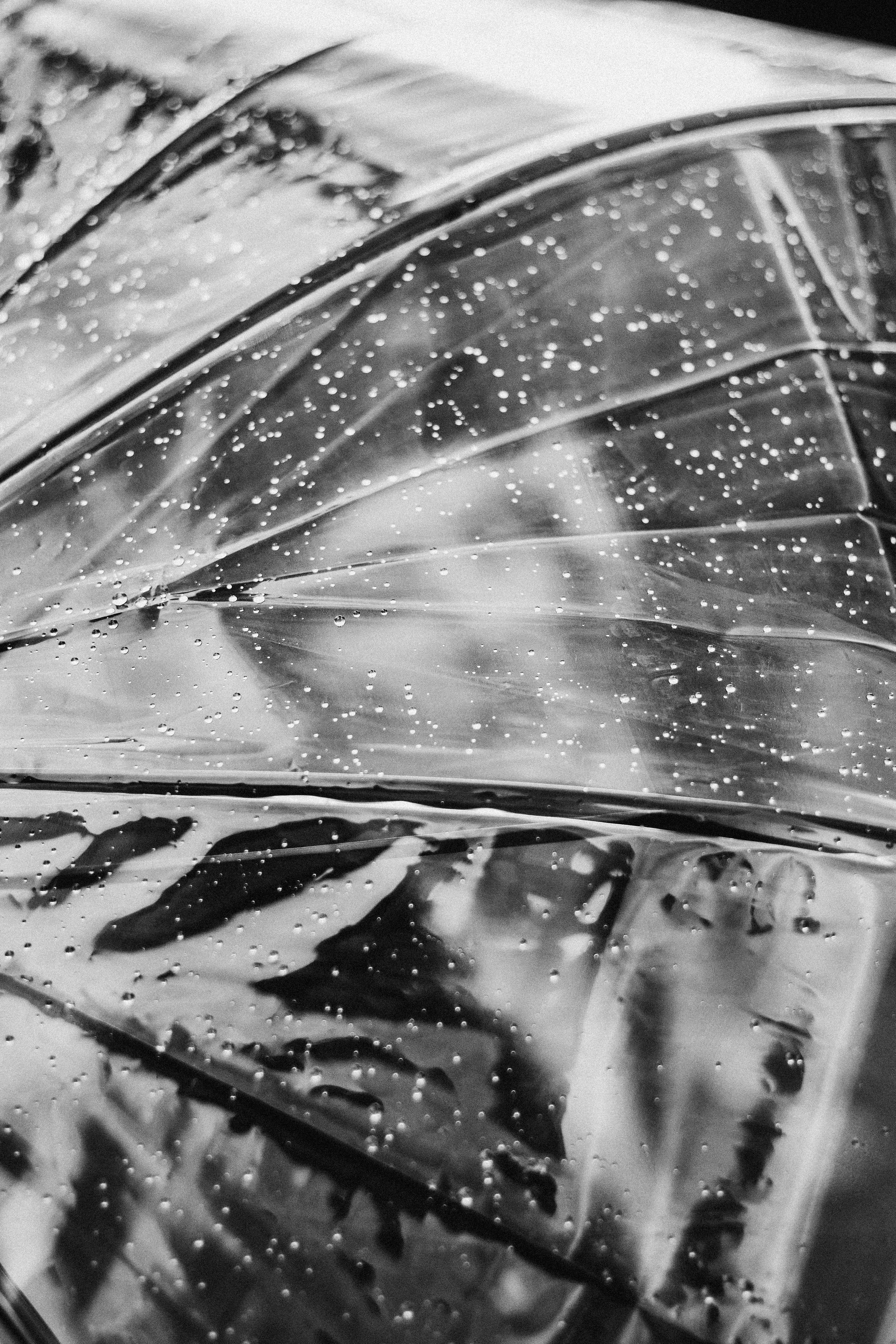 ELENA. ART SYLCHENKO Fotograf Trójmiasto