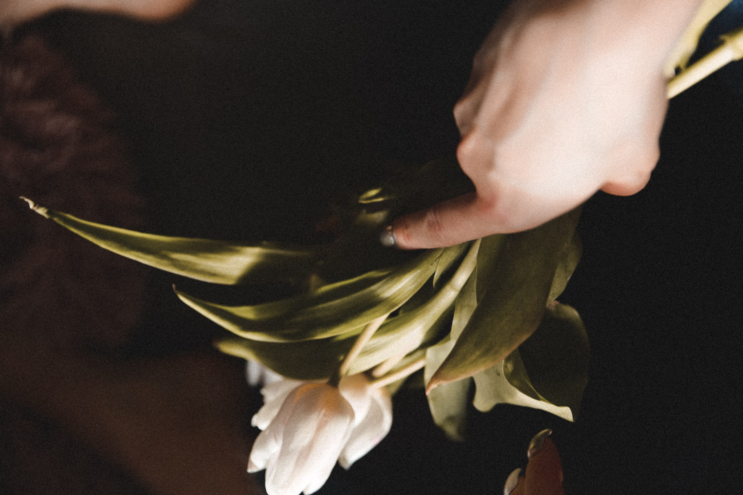 ALEKSANDRA. ART SYLCHENKO Fotograf Trójmiasto