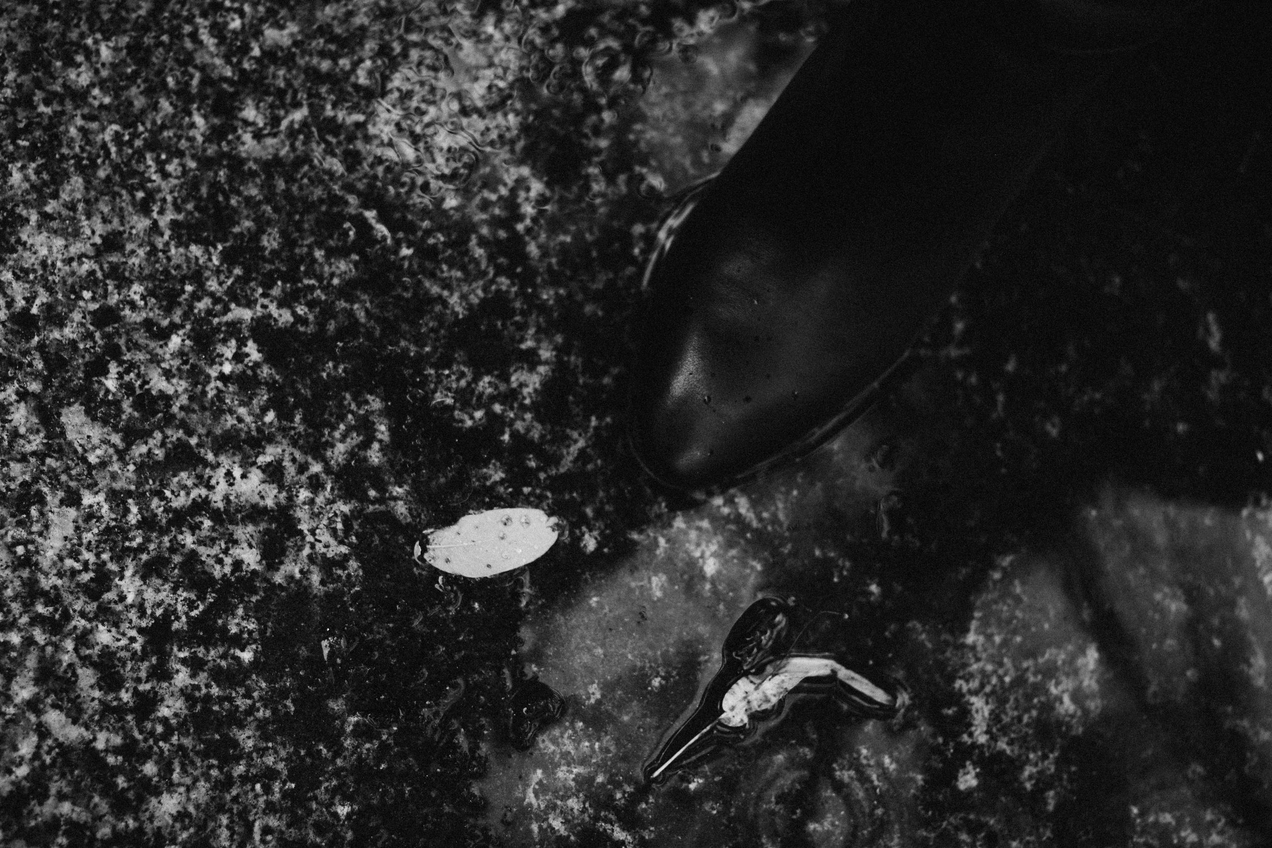 ELENA. ART SYLCHENKO Fotograf Trójmiasto