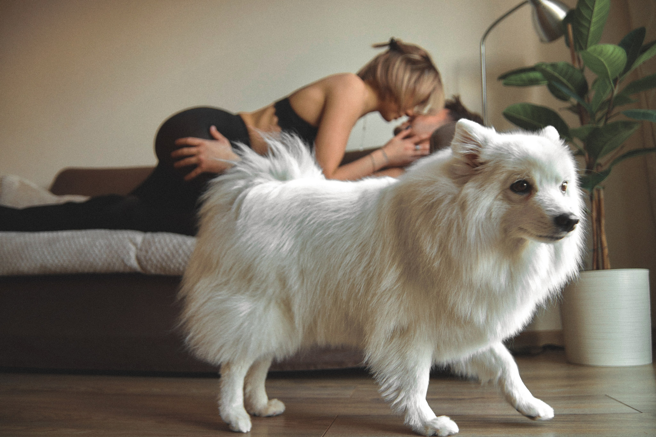 R&D. ART SYLCHENKO Fotograf Trójmiasto