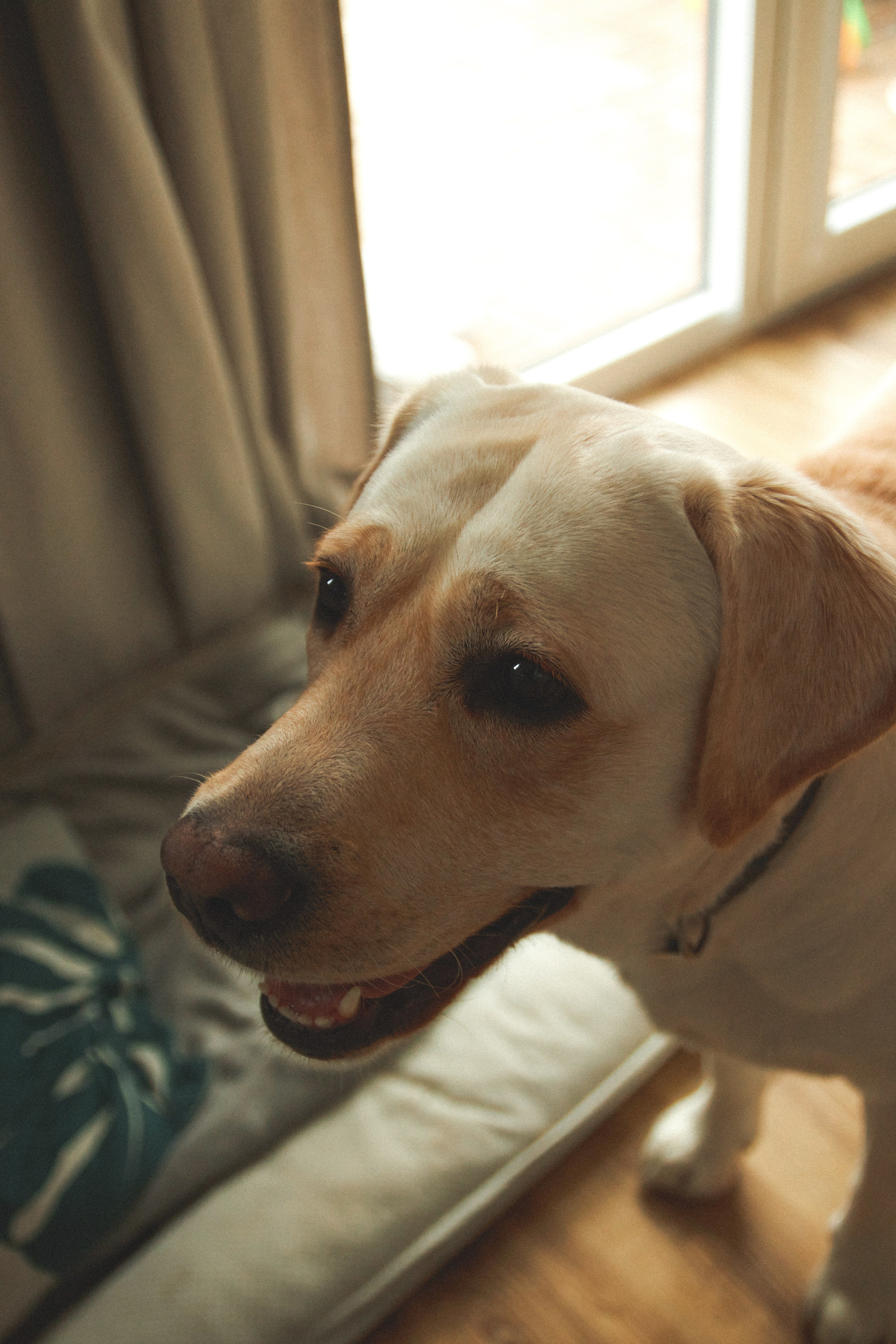 L&ANGEL. ART SYLCHENKO Fotograf Trójmiasto