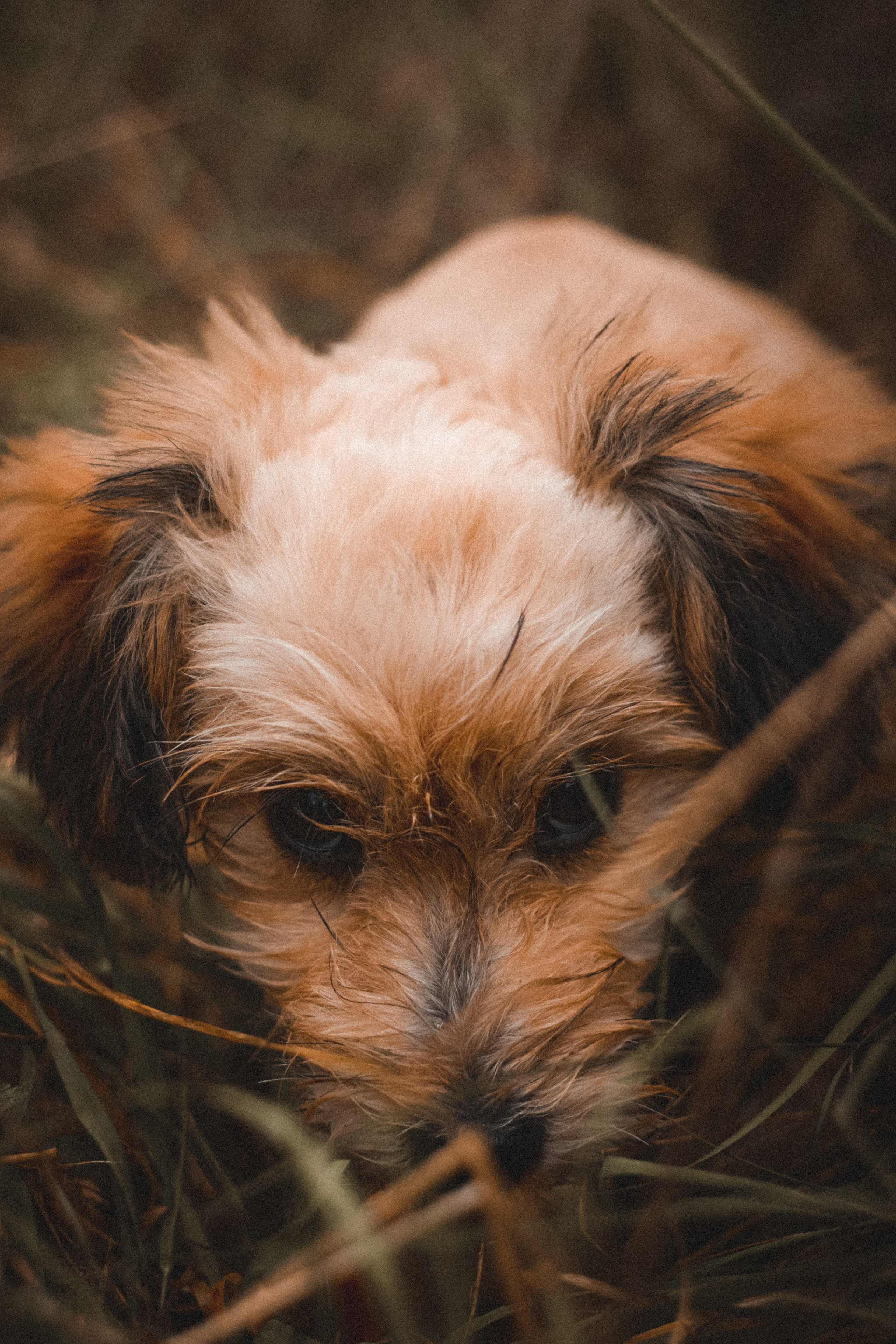 I&M. ART SYLCHENKO Fotograf Trójmiasto