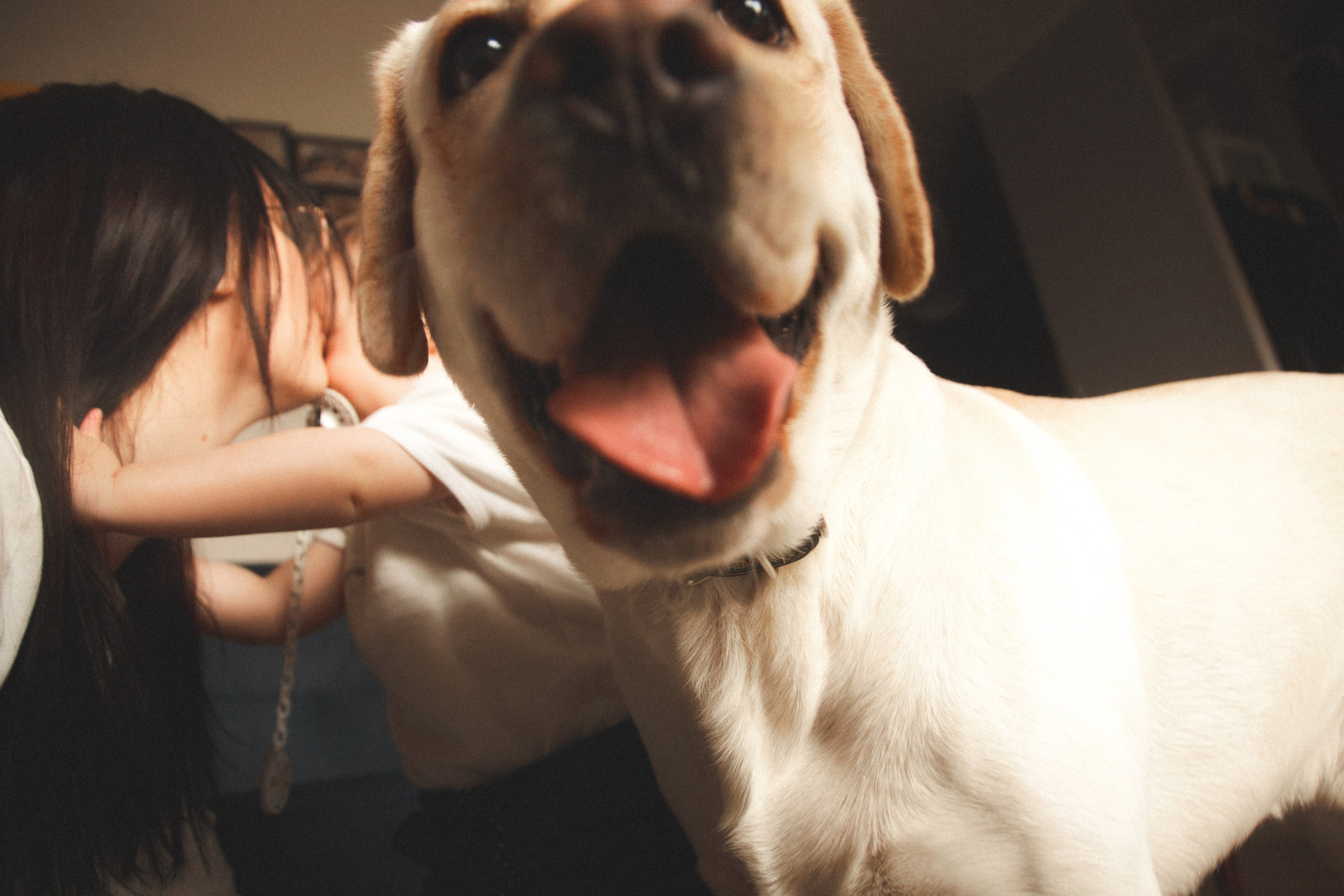 L&ANGEL. ART SYLCHENKO Fotograf Trójmiasto