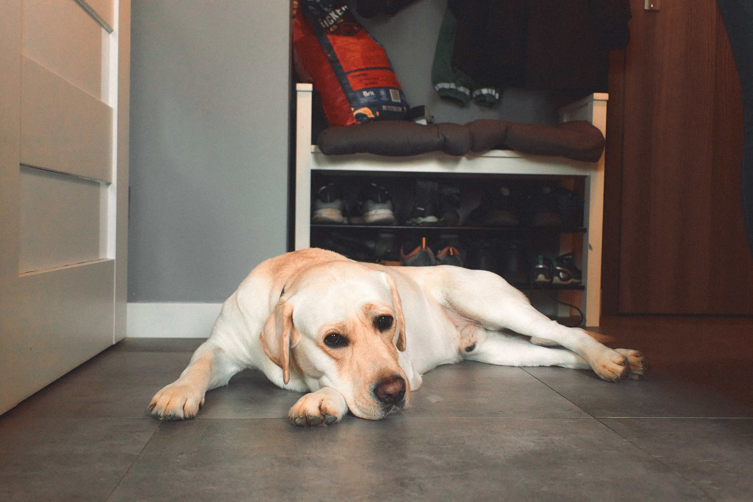 L&ANGEL. ART SYLCHENKO Fotograf Trójmiasto