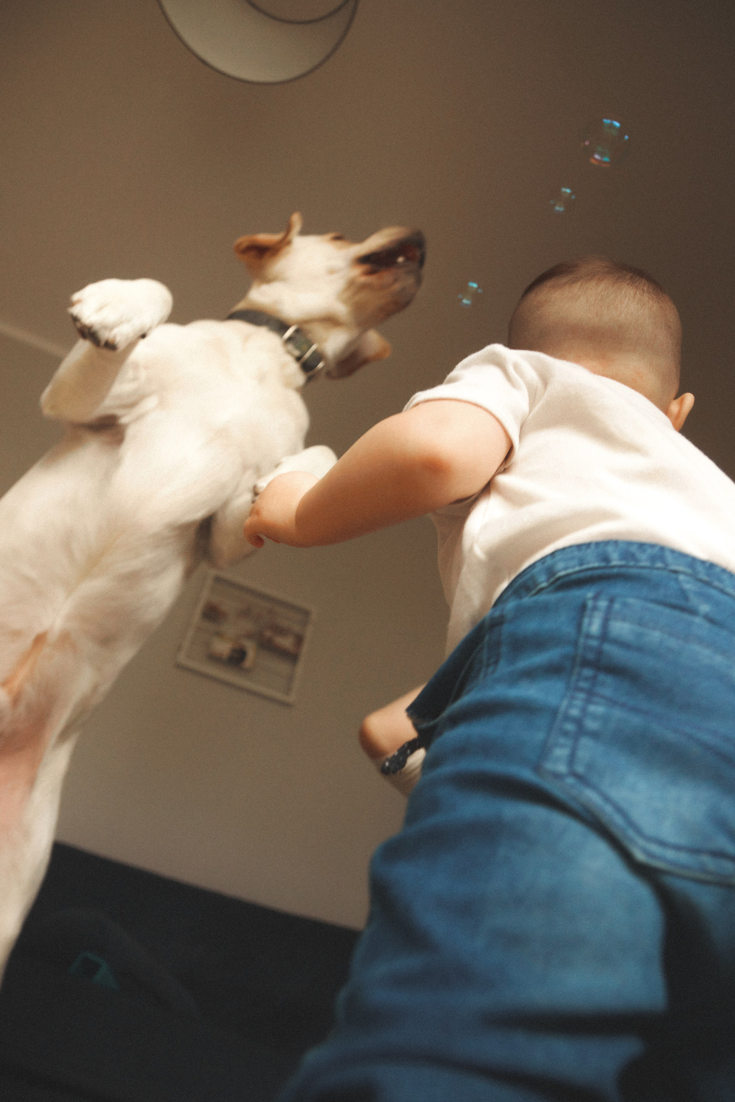 L&ANGEL. ART SYLCHENKO Fotograf Trójmiasto