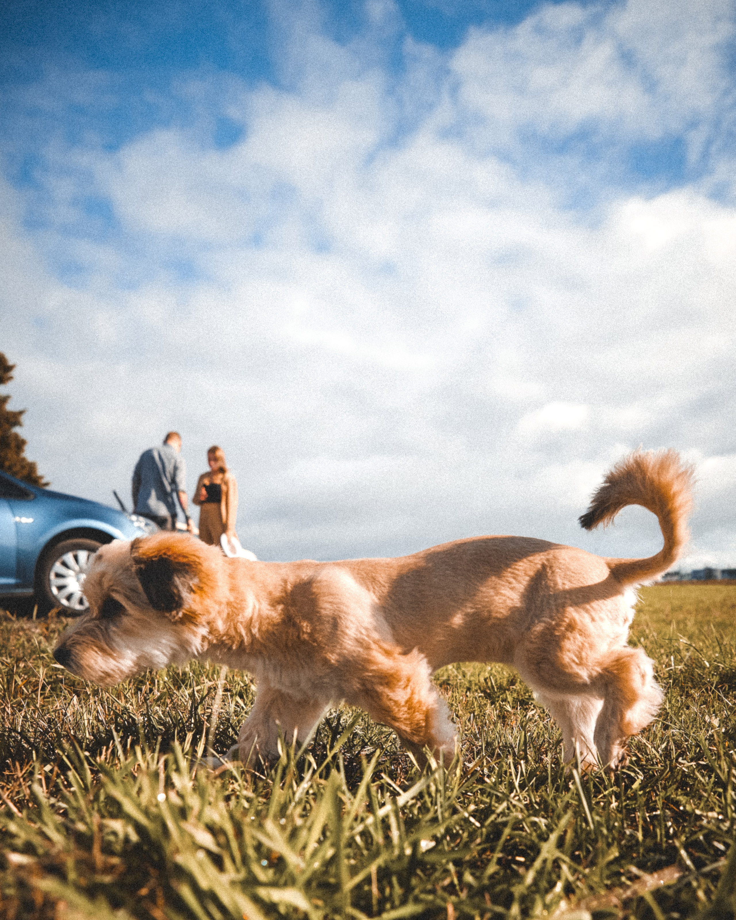 I&M. ART SYLCHENKO Fotograf Trójmiasto