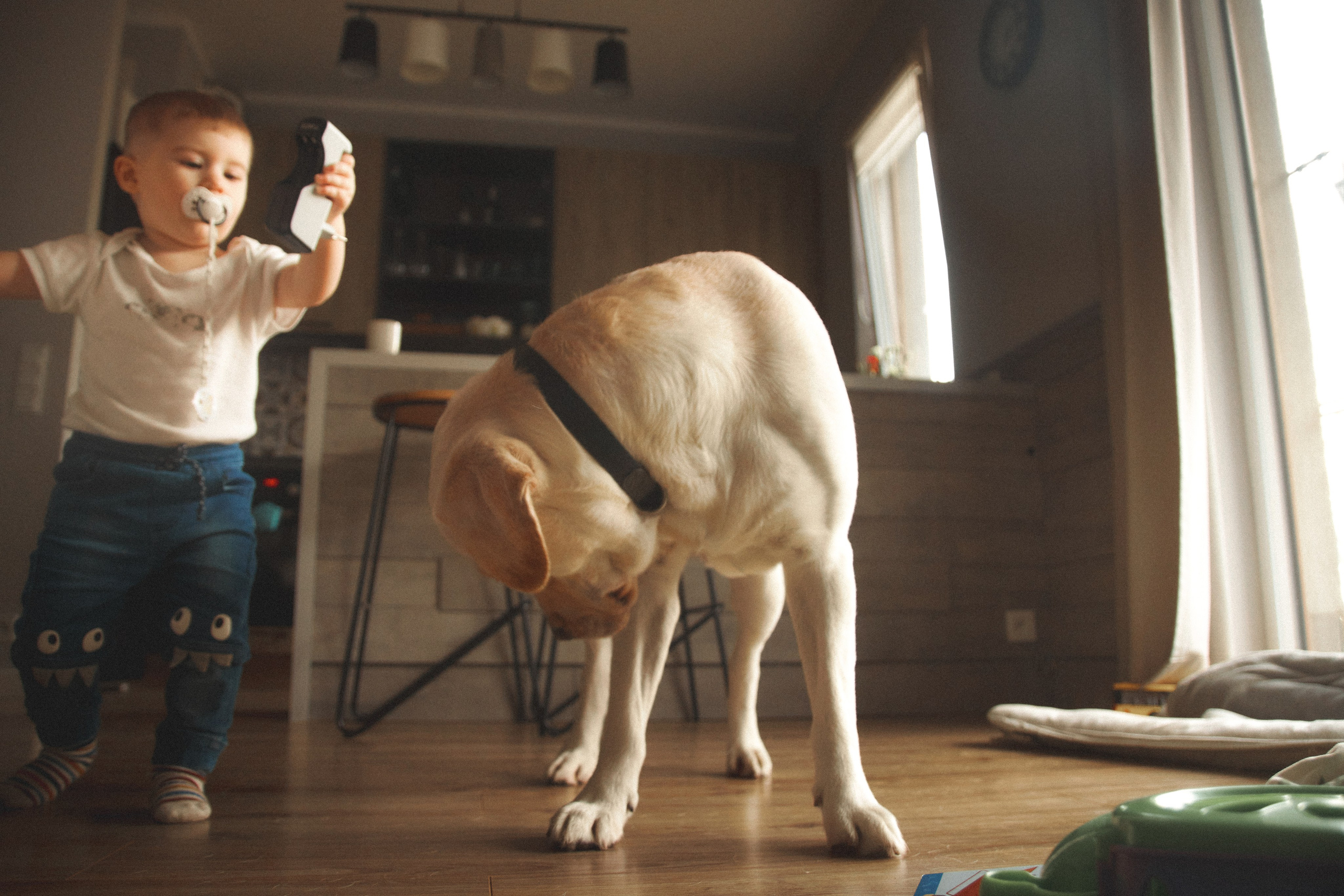 L&ANGEL. ART SYLCHENKO Fotograf Trójmiasto