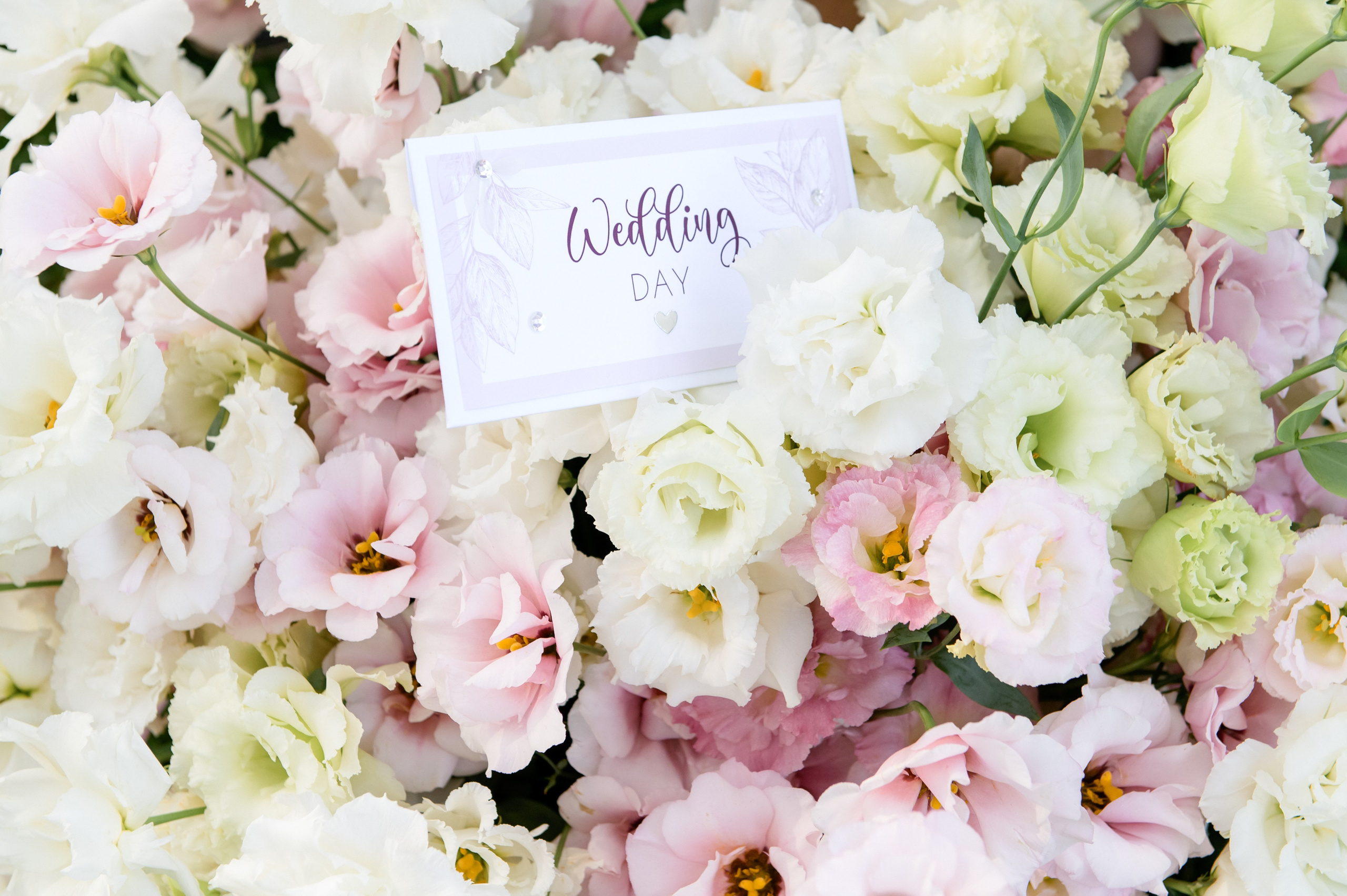 Світ на двох. Фостик Олександр — фотограф