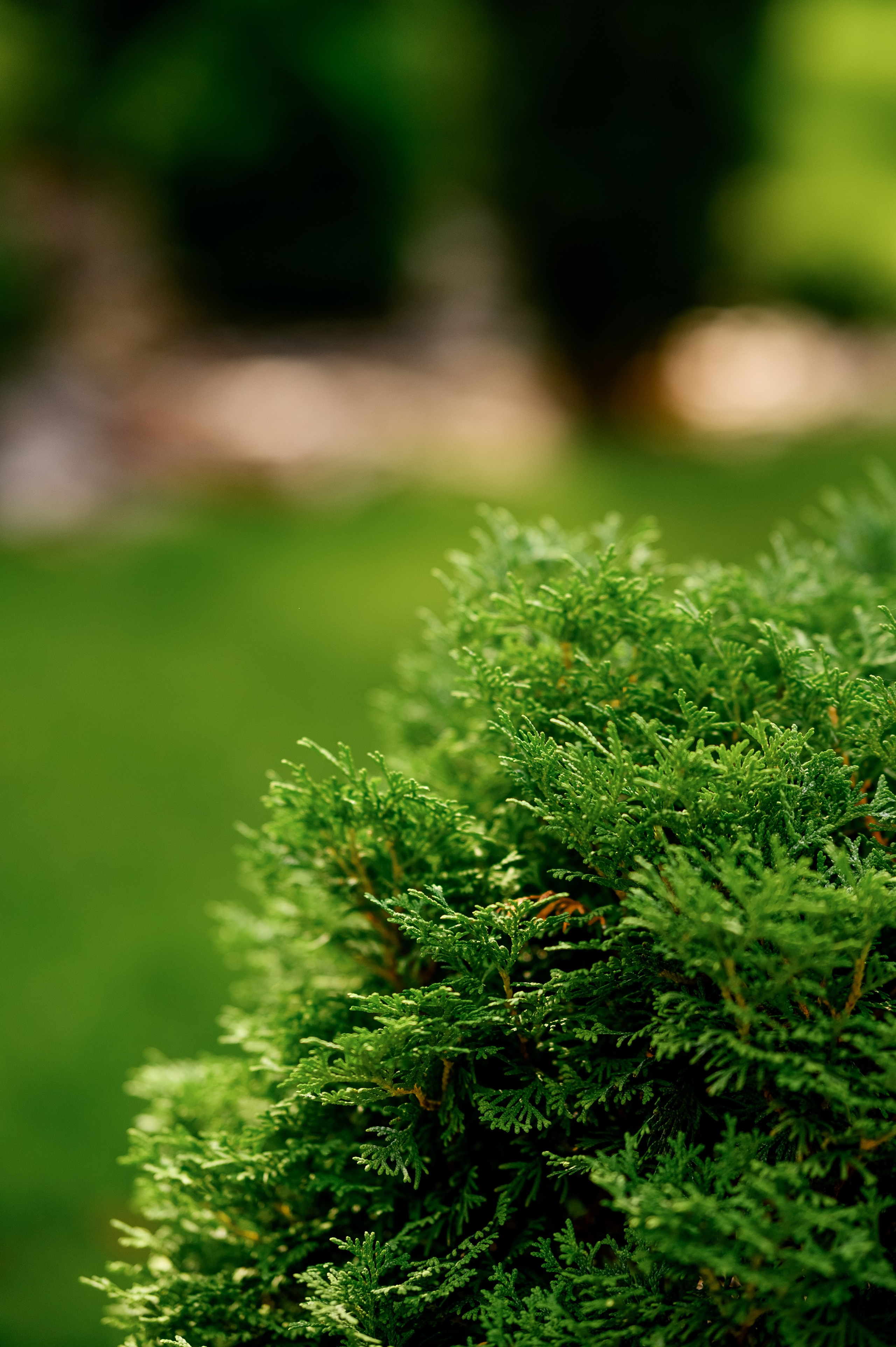 Зйомка для Мис Доброї Надії. Фостик Олександр — фотограф