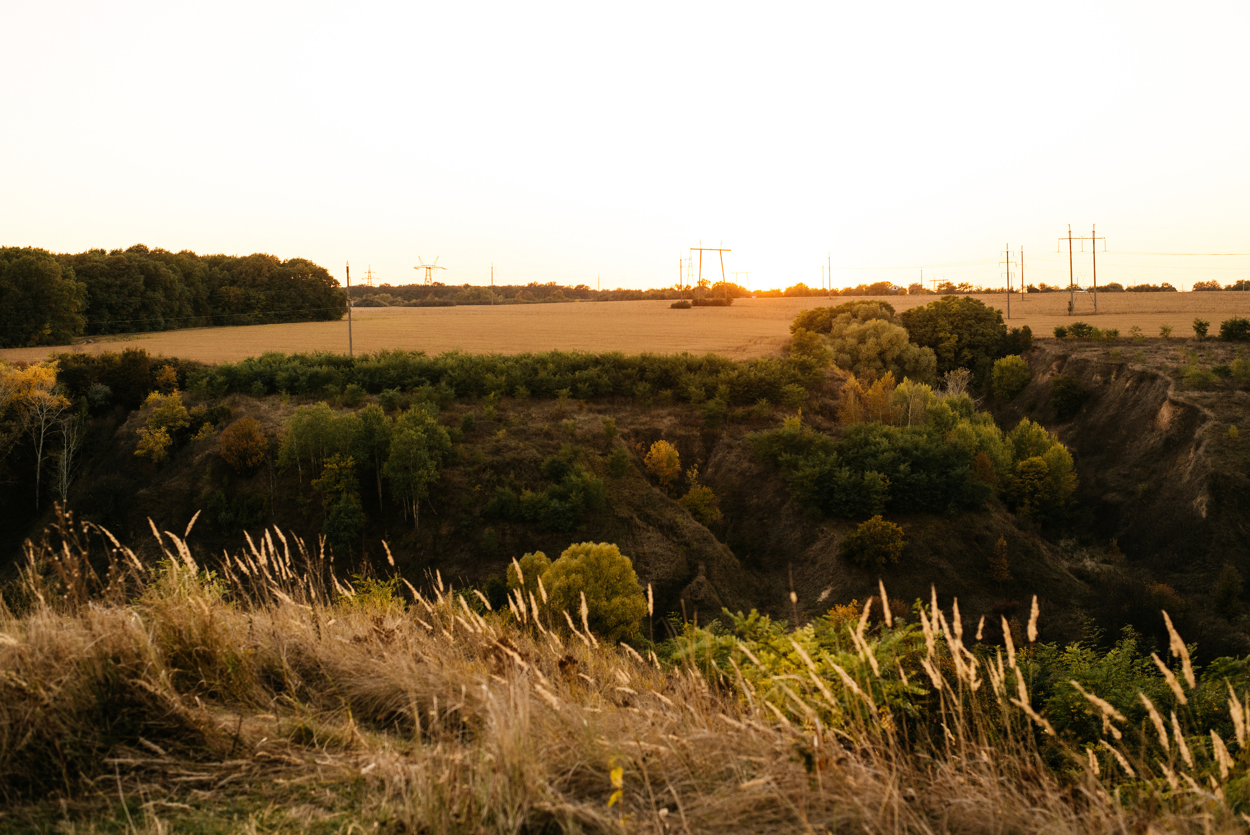 Kinder family. Фостик Александр — фотограф