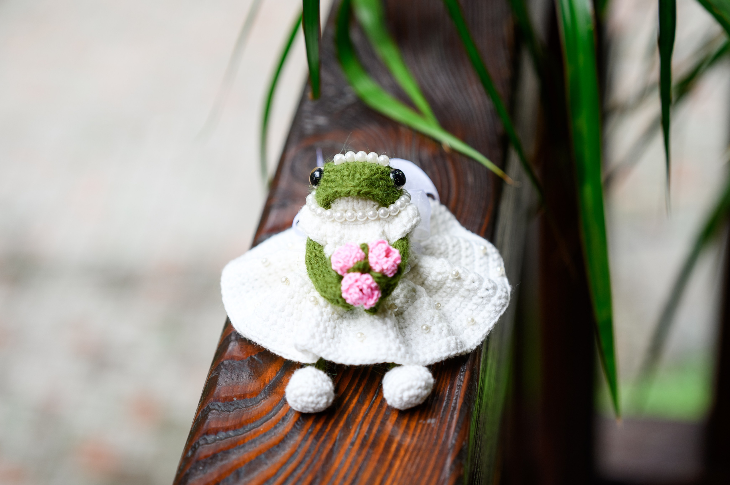 Подих кохання. Фостик Олександр — фотограф