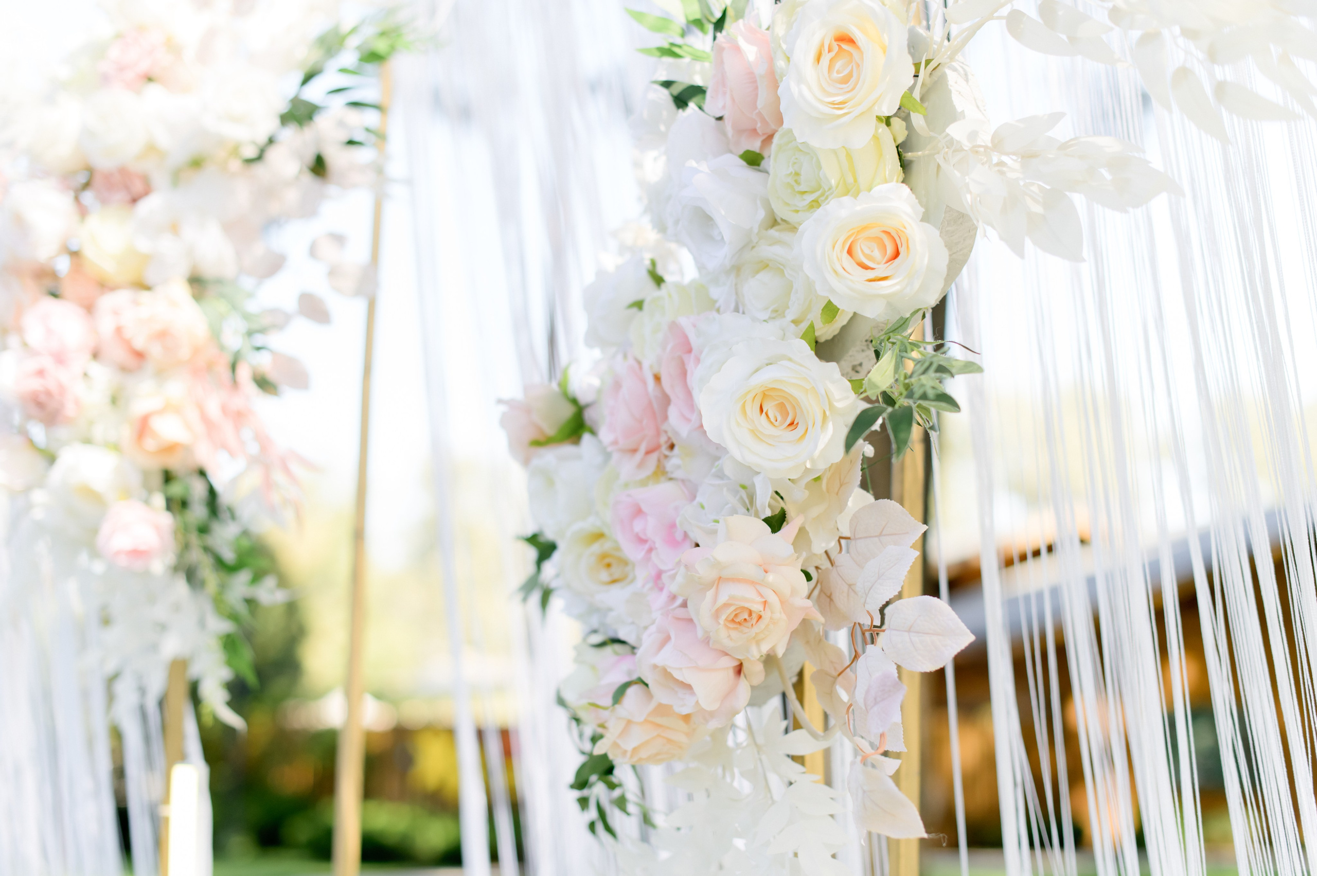 Світ на двох. Фостик Олександр — фотограф