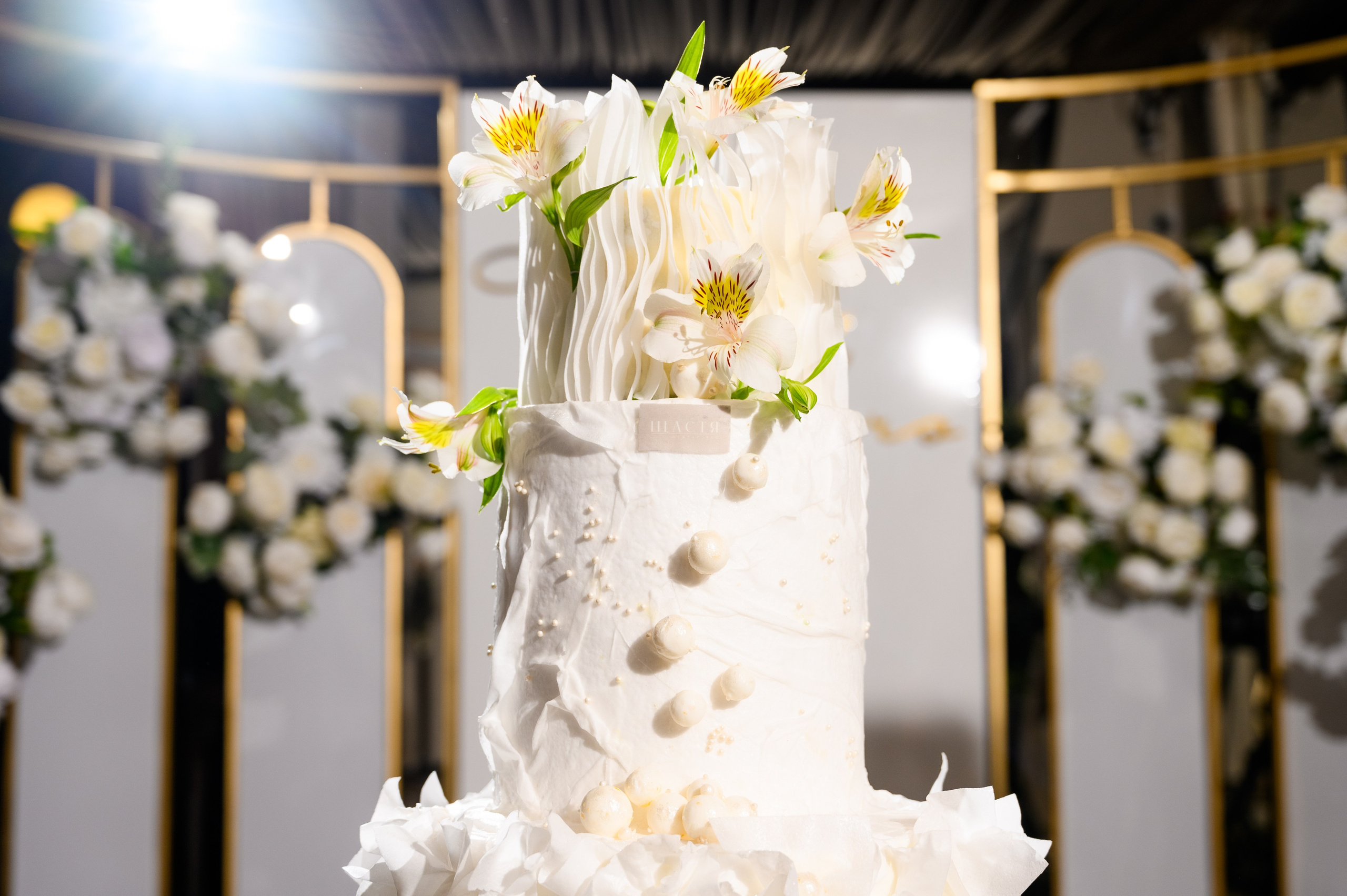 Ours forever. Fostik Alexander — photographer