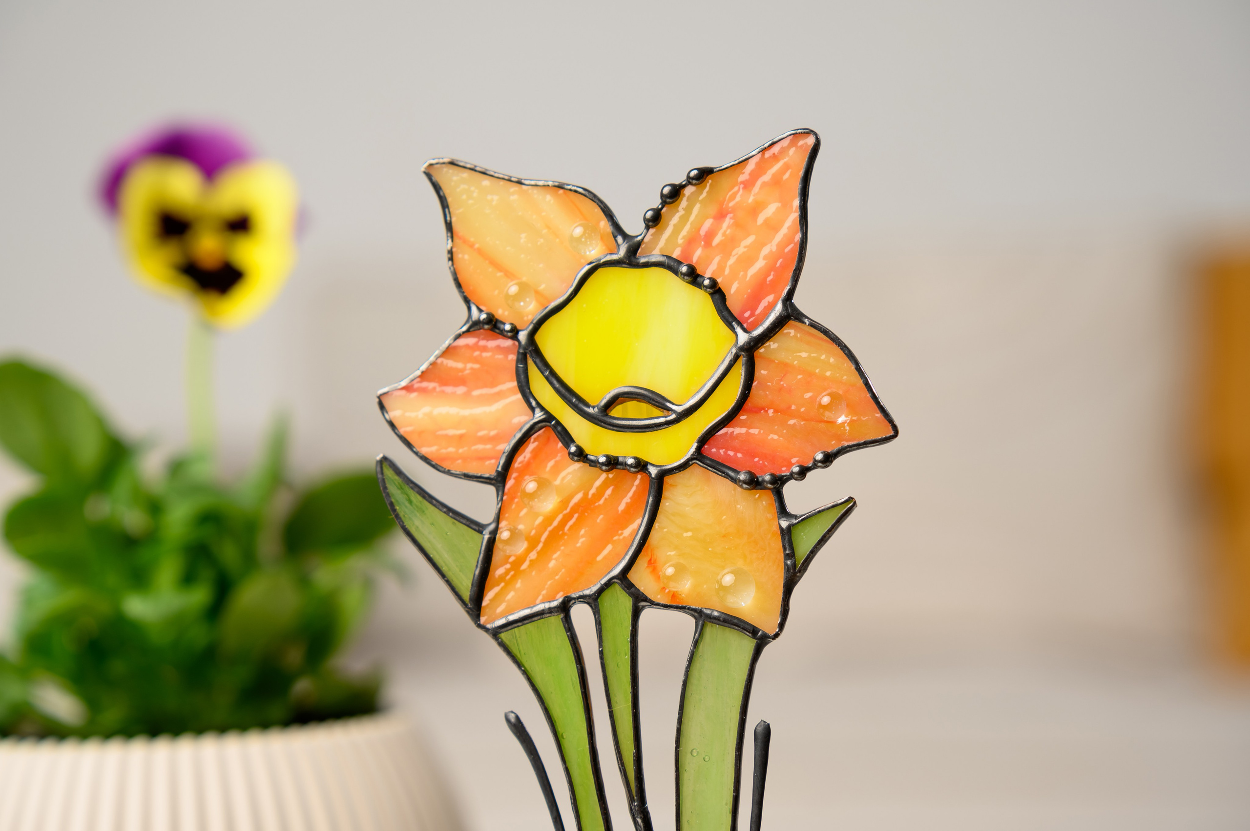 Venus glass art. Фостик Олександр — фотограф