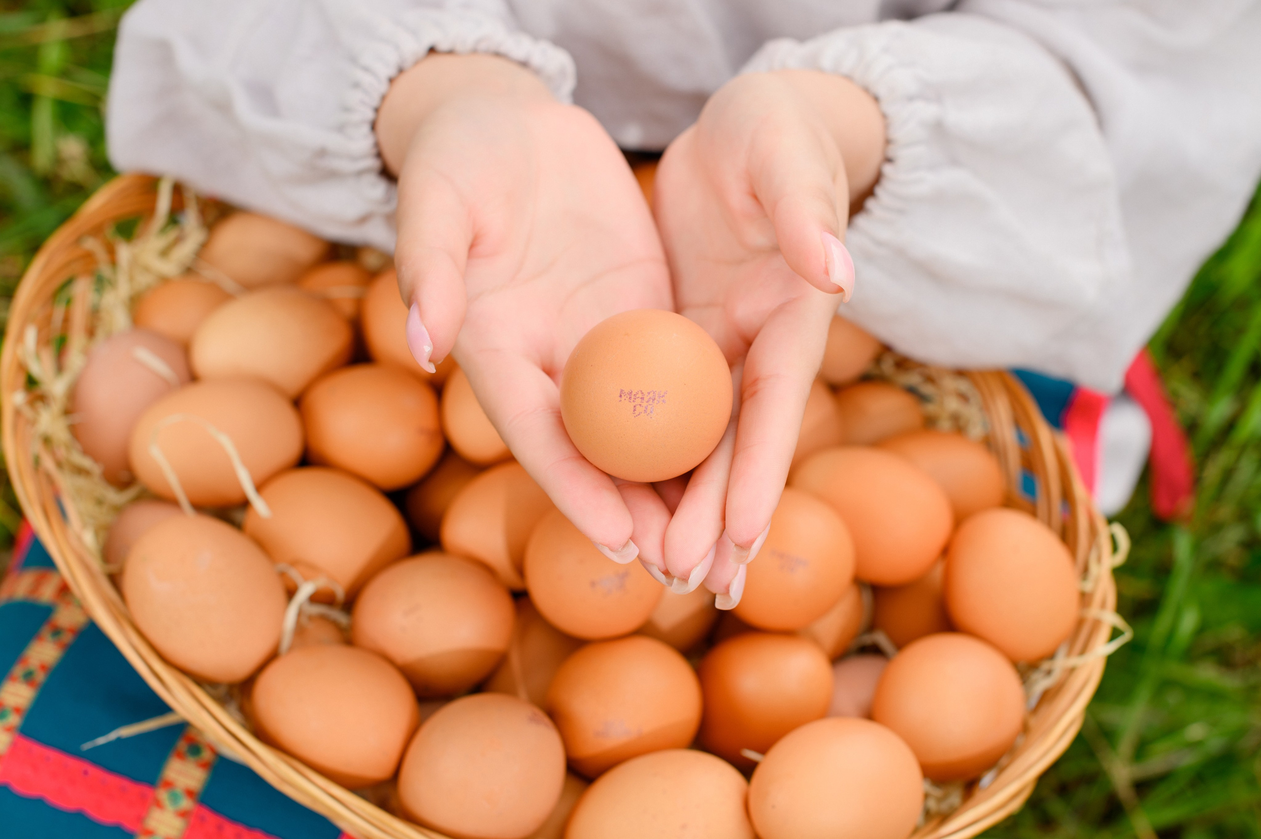 «Рідне село». Фостик Олександр — фотограф