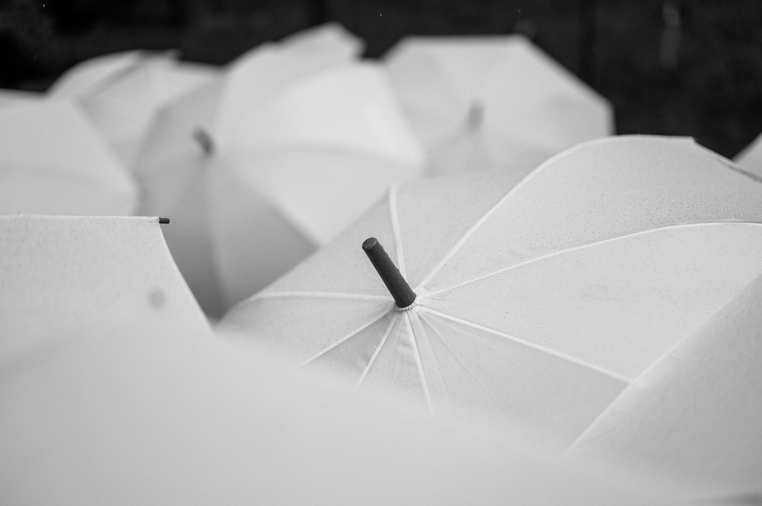 Подих кохання. Фостик Олександр — фотограф