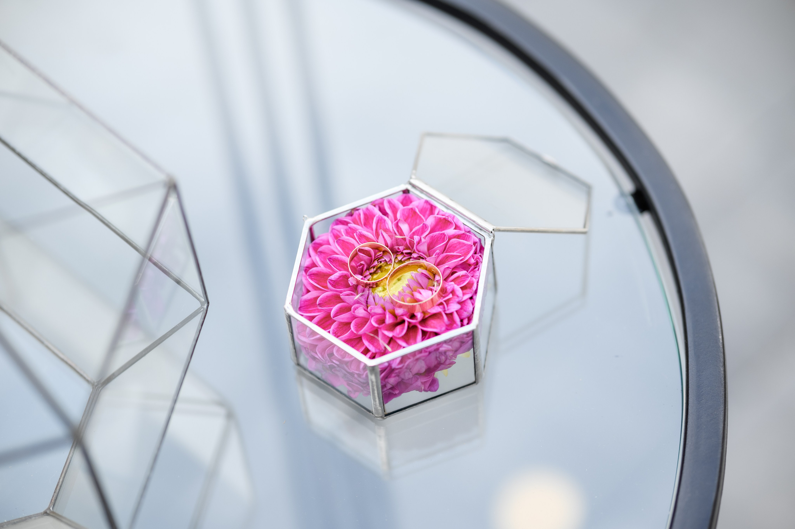 Heart in the palms. Fostik Alexander — photographer