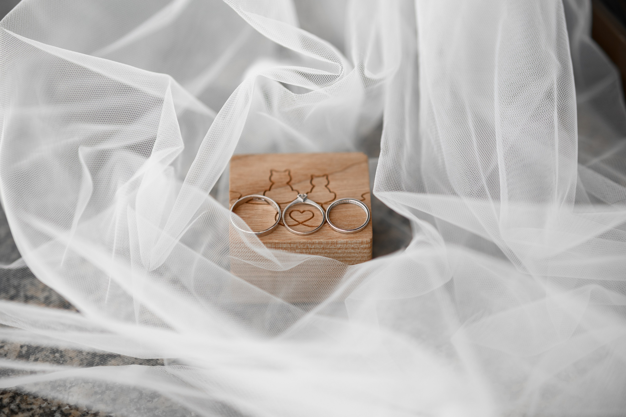 Wedding photo. Fostik Alexander — photographer